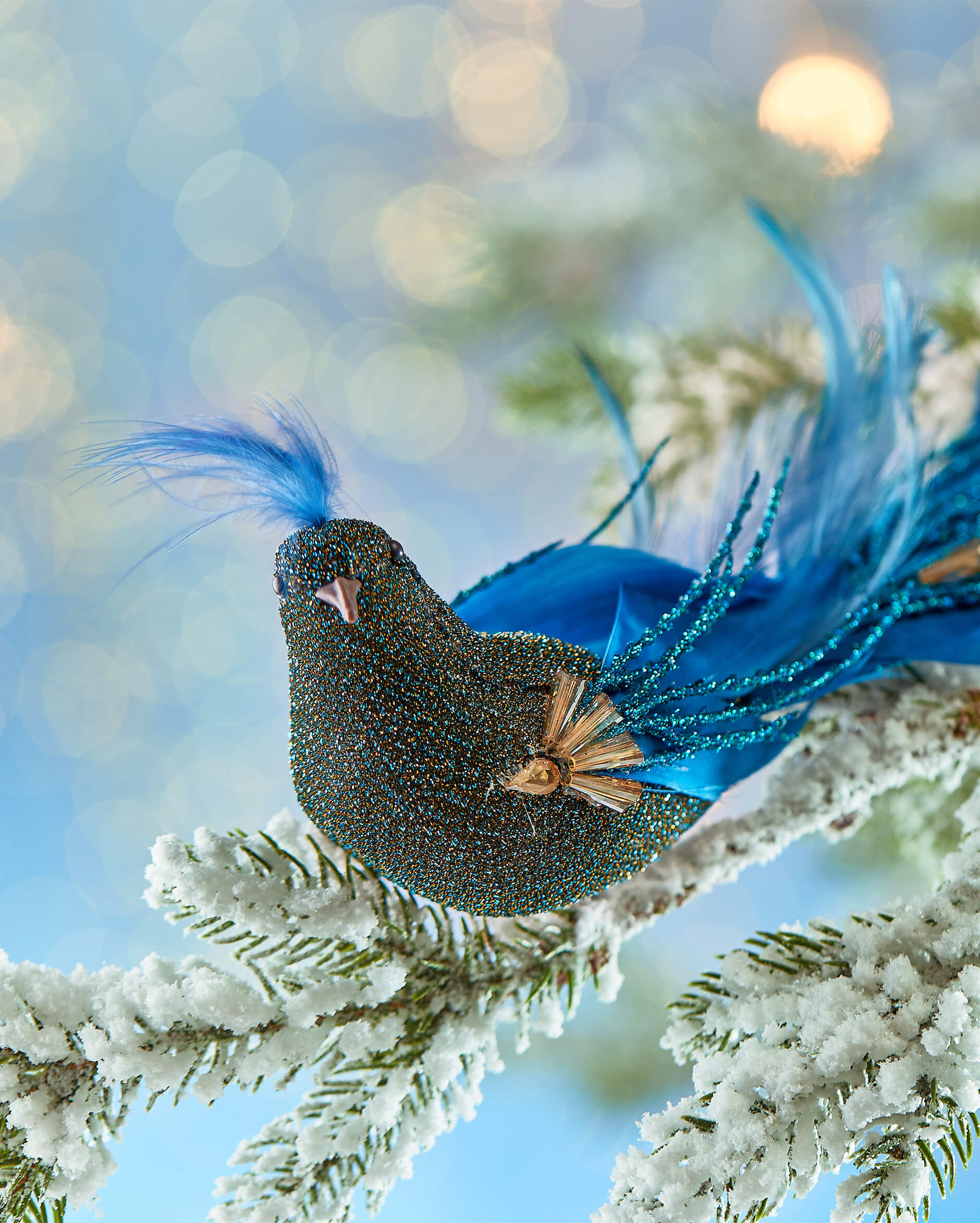 Phyllis-joulukoriste, riikinkukko