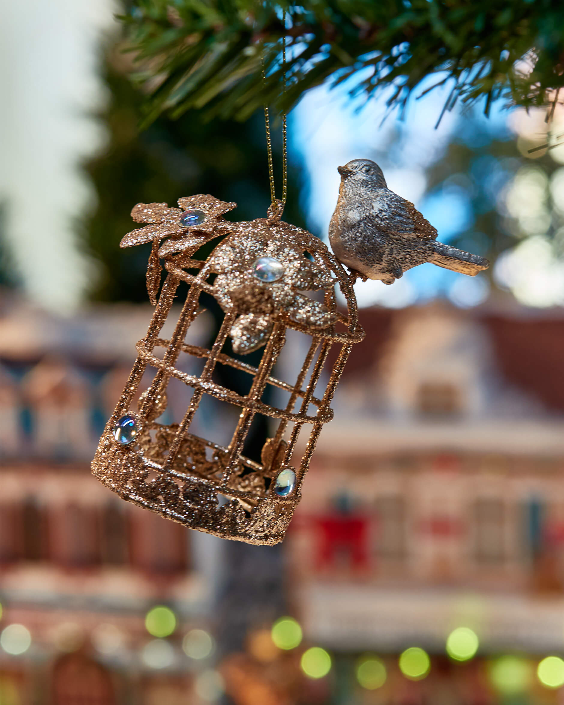 Hawksworth-kuusenkoriste, lintuhäkki samppanja