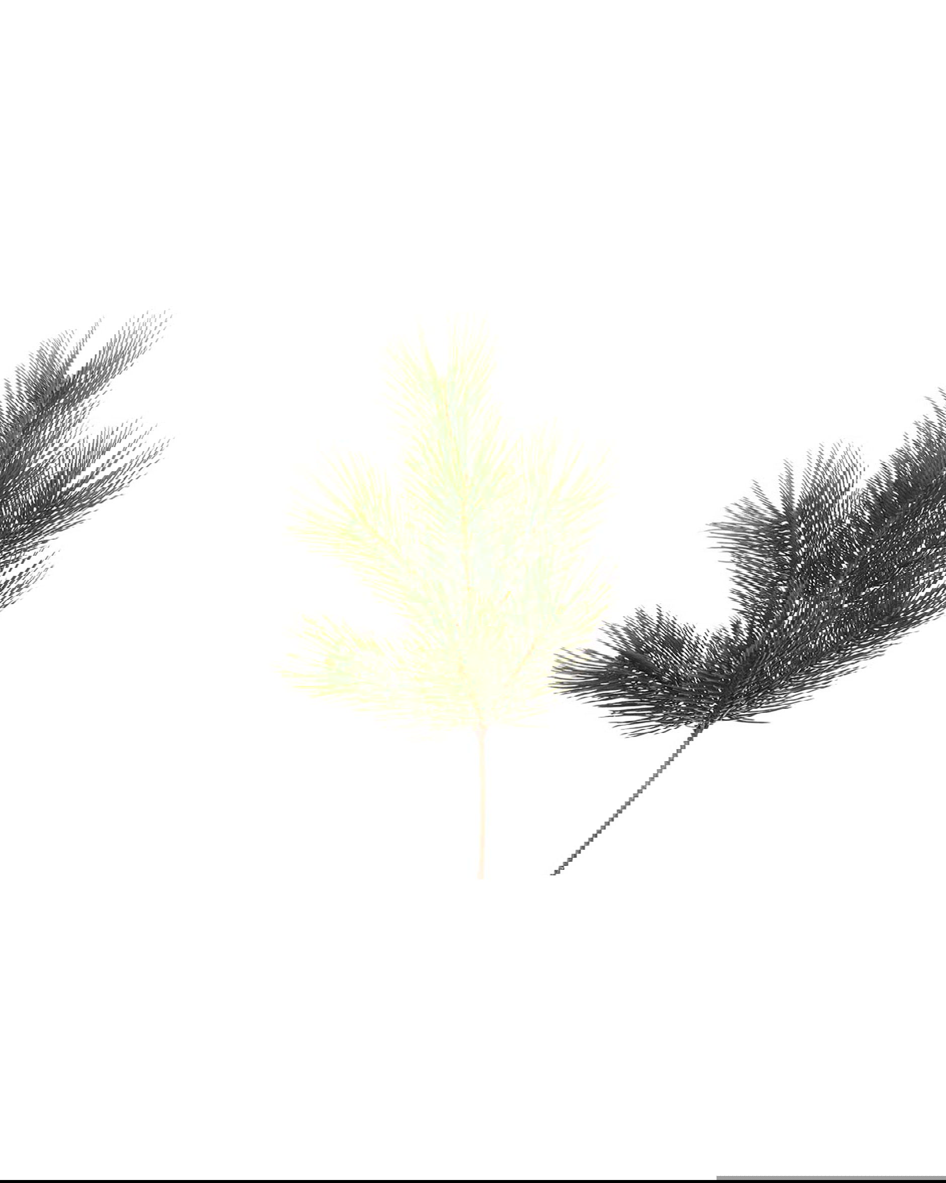 Mäntypuun oksa leikkokukka vihreä