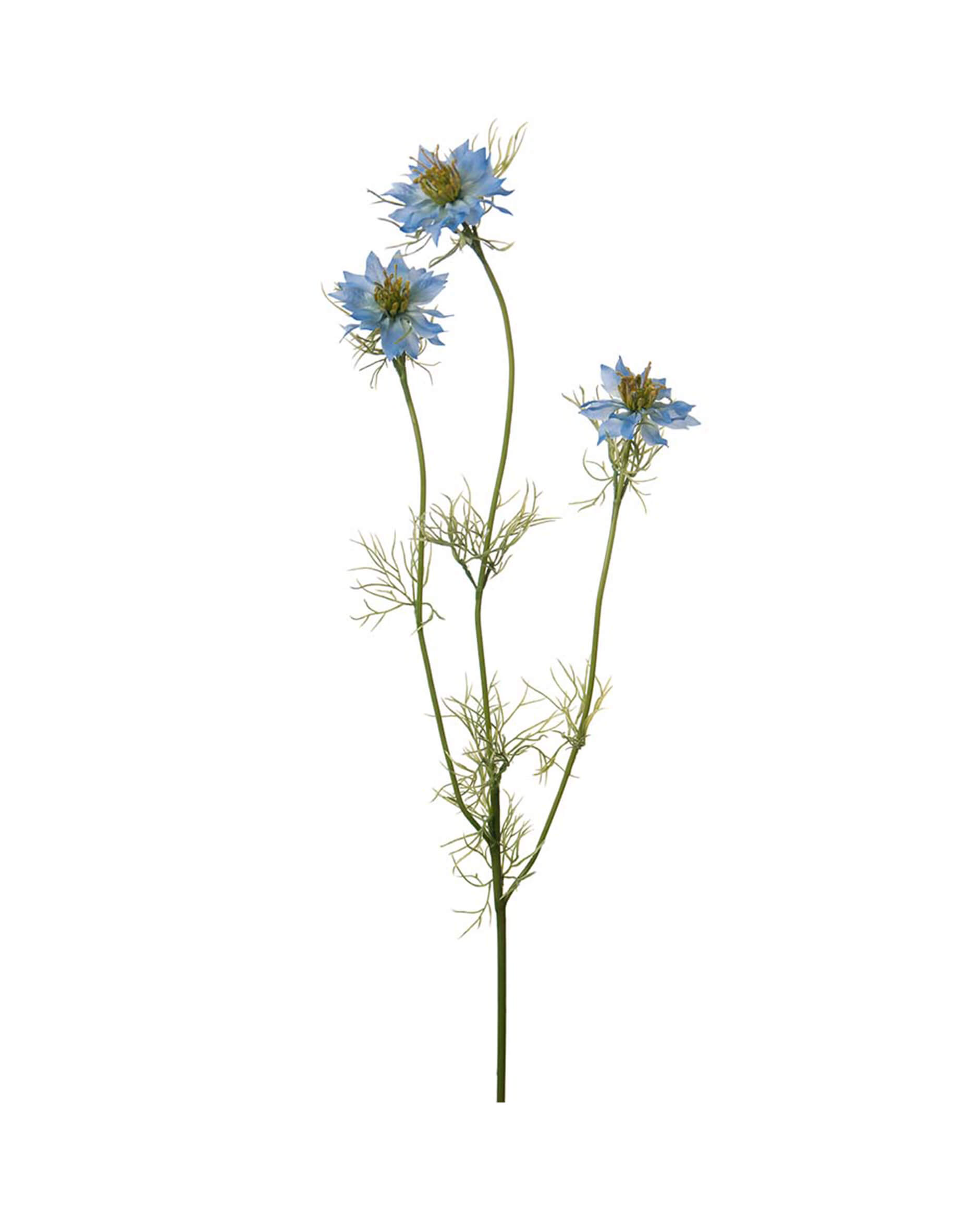 Nigella snittblomma blå