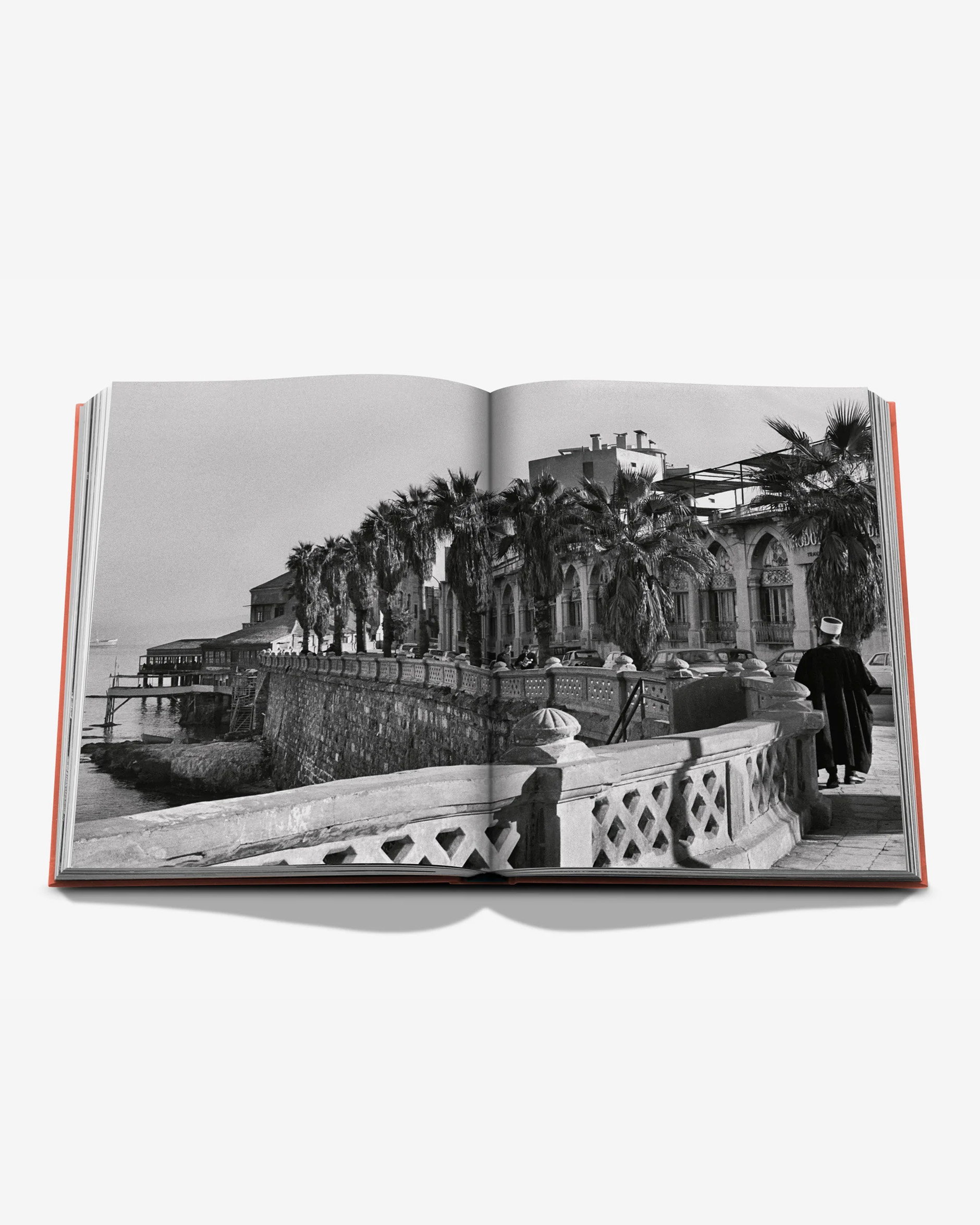 Travel Books Beirut Habibi