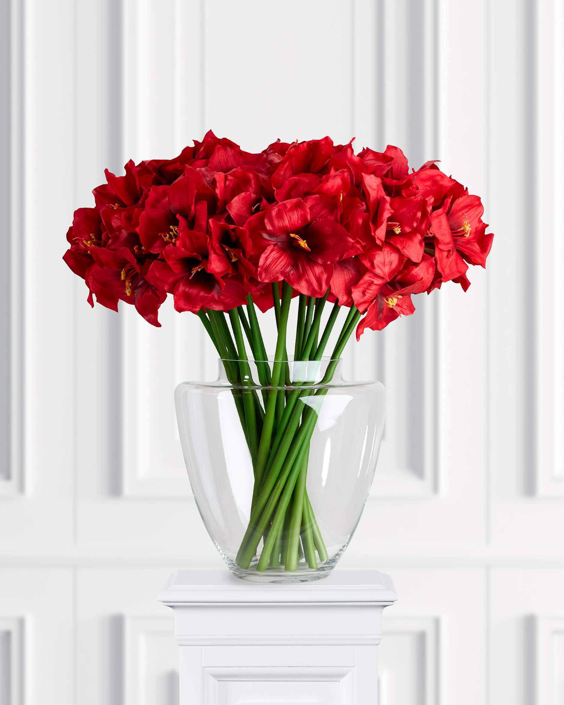 Amaryllis snittblomma röd