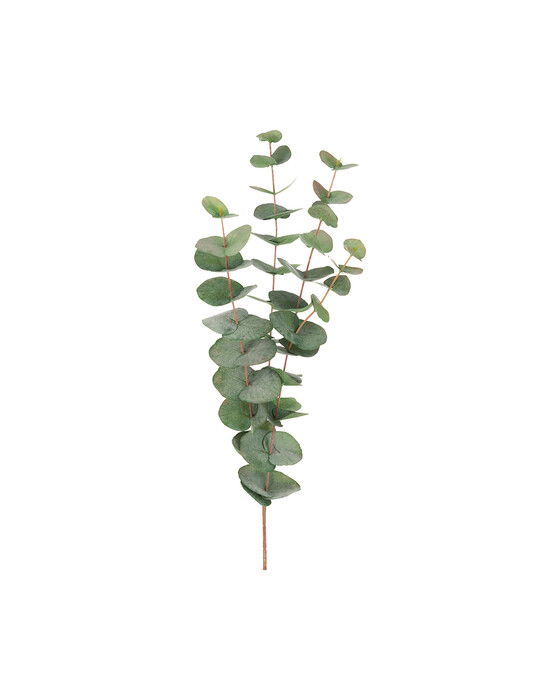 Eucalyptus snittblomma grön | Flower World - Konstväxter - Snittblommor | Möbelexperten