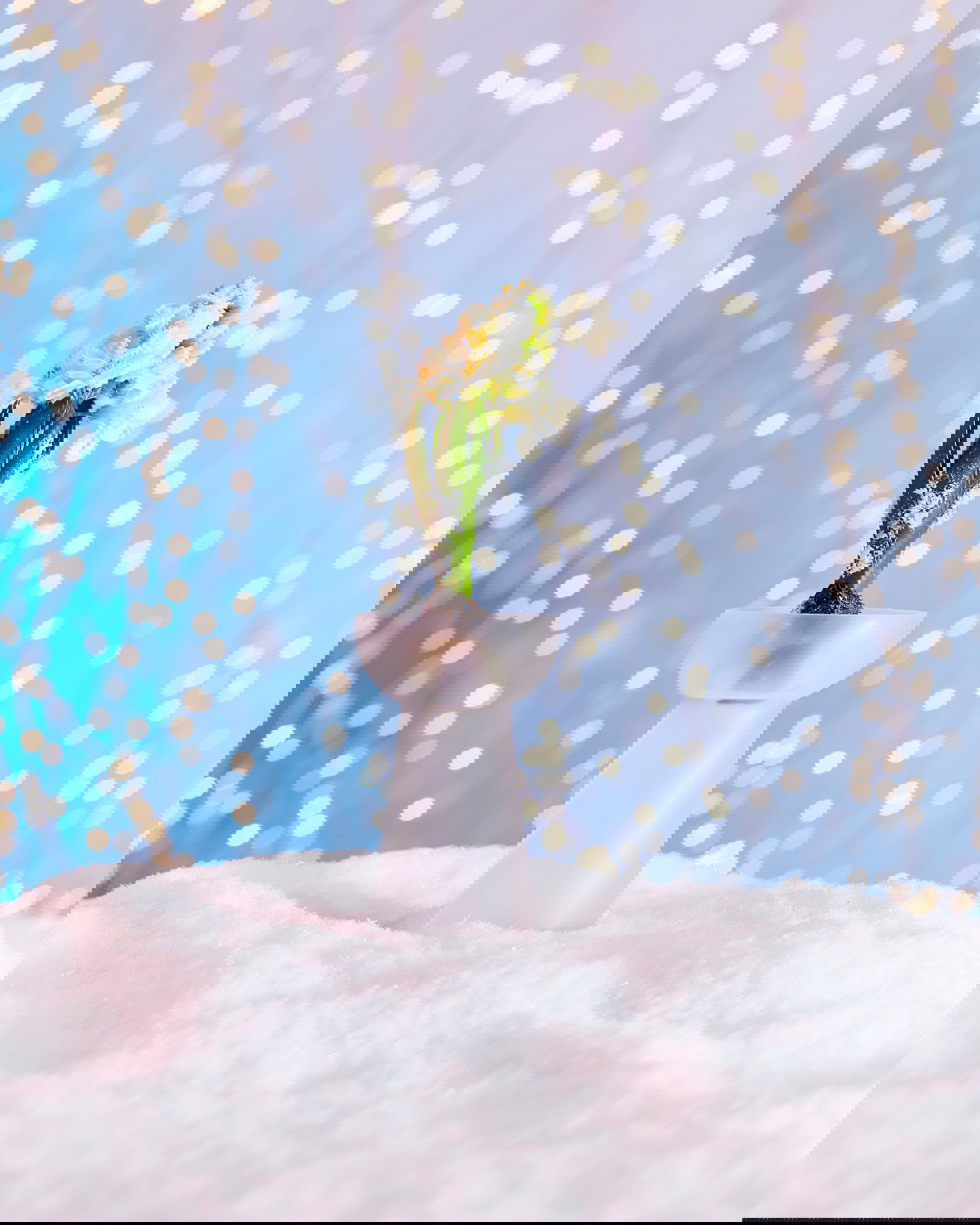 Eudora-hyasinttimaljakko