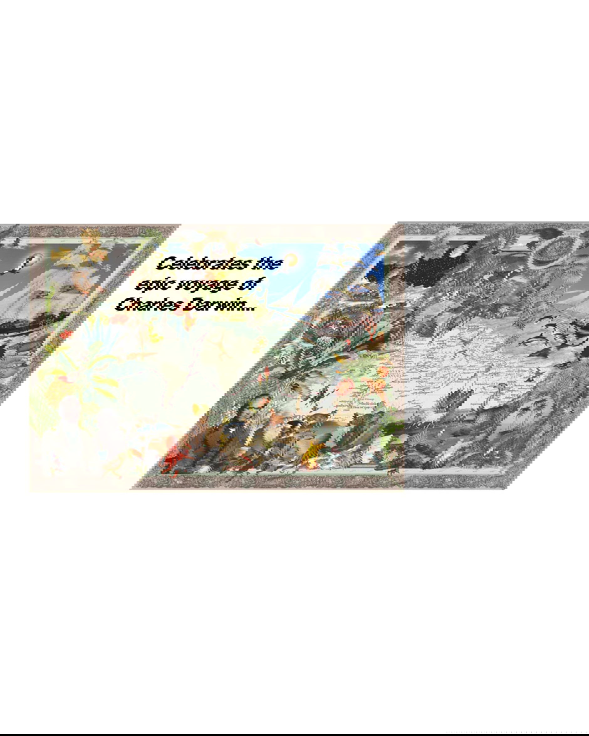 Charles Darwin pussel