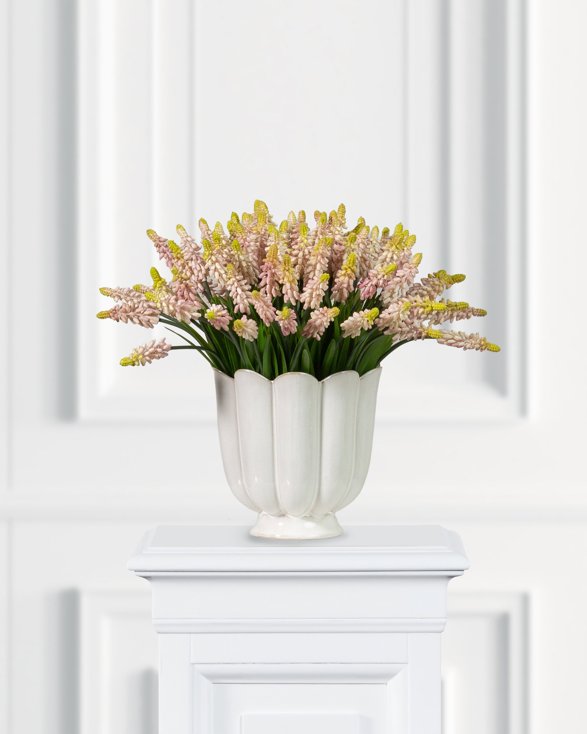 Grape Hyacinth Cut Flower Pink