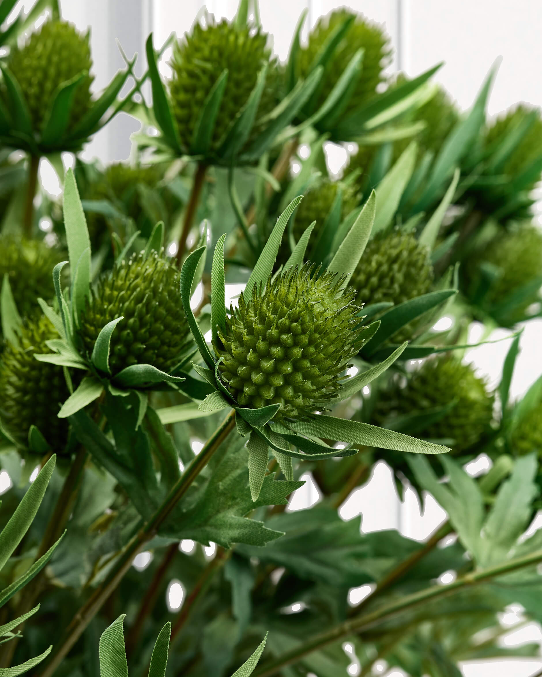 Green flower  f16fb99e13584779844a0aa3375a6a
