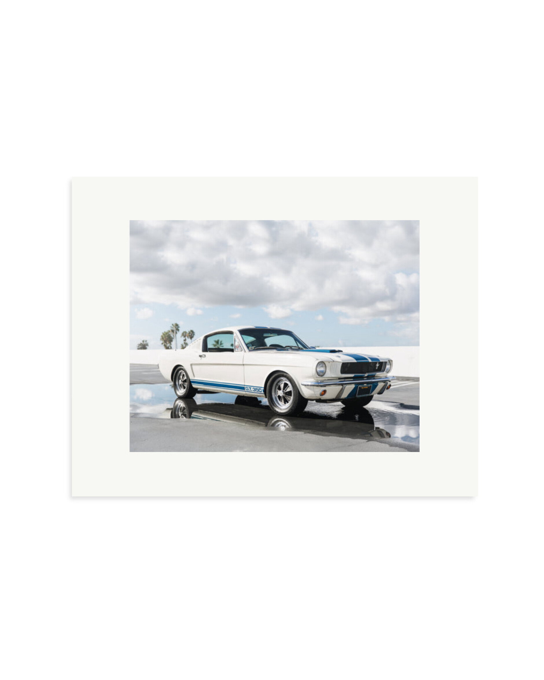 Ford Mustang Shelby GT350 Print Only / Small