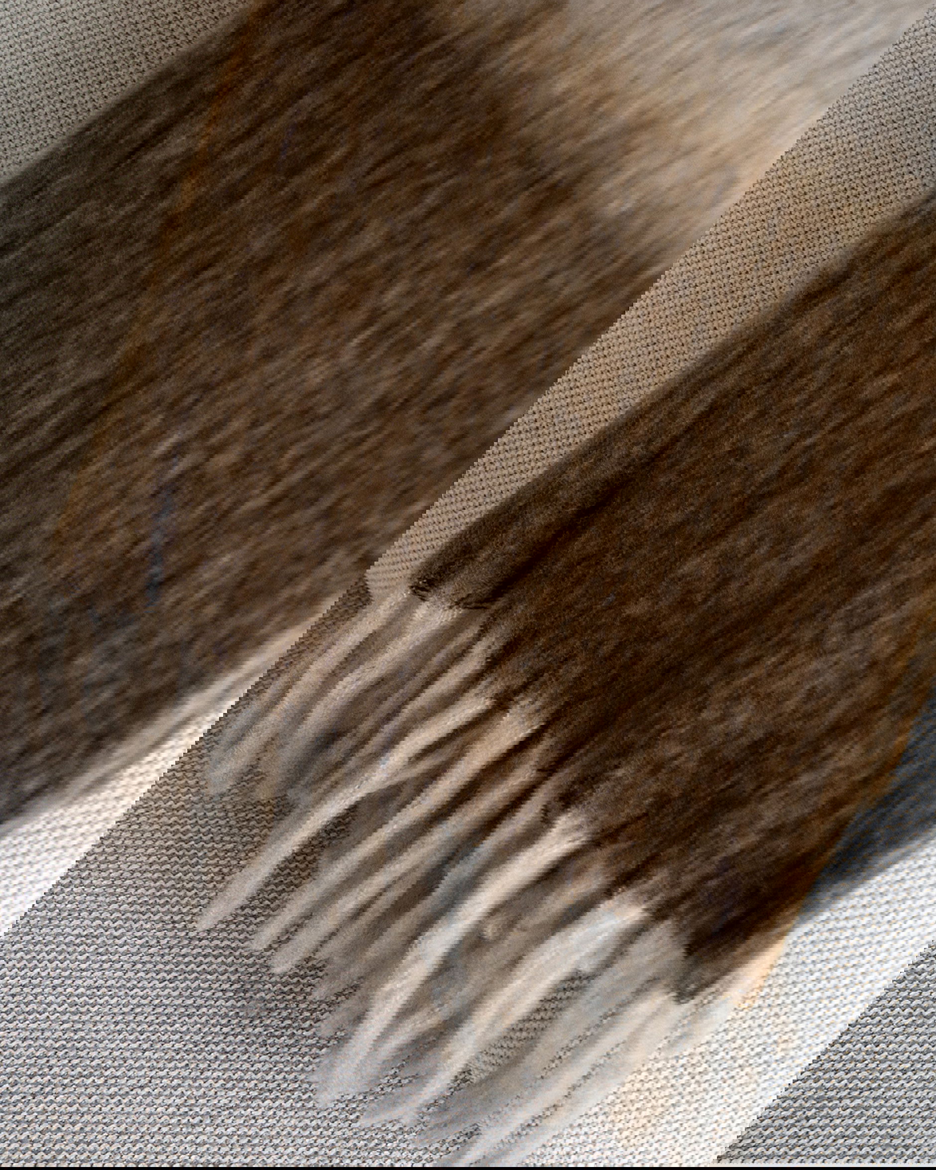 Splendid throw off-white/brown