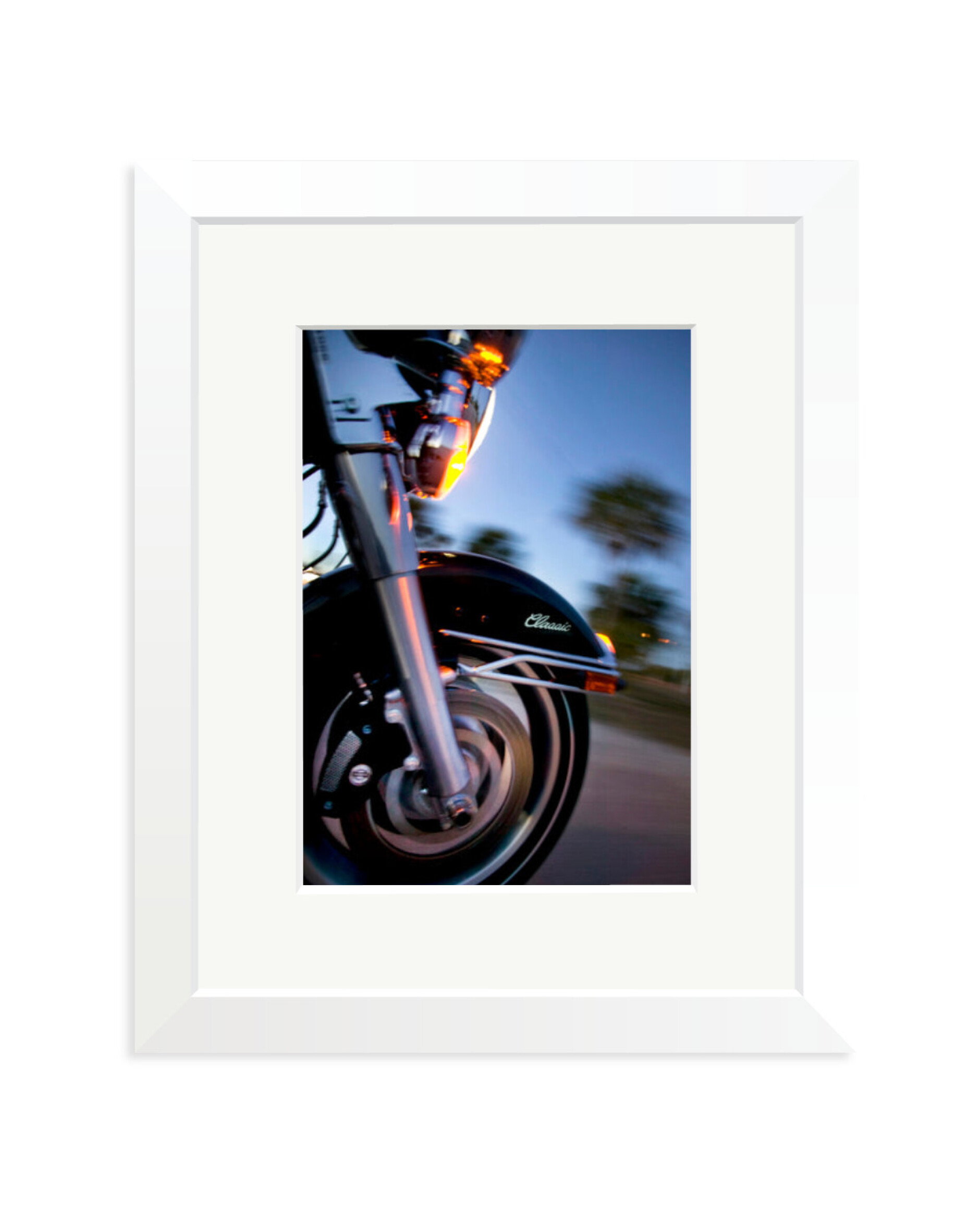 Harley Davidson White / Small