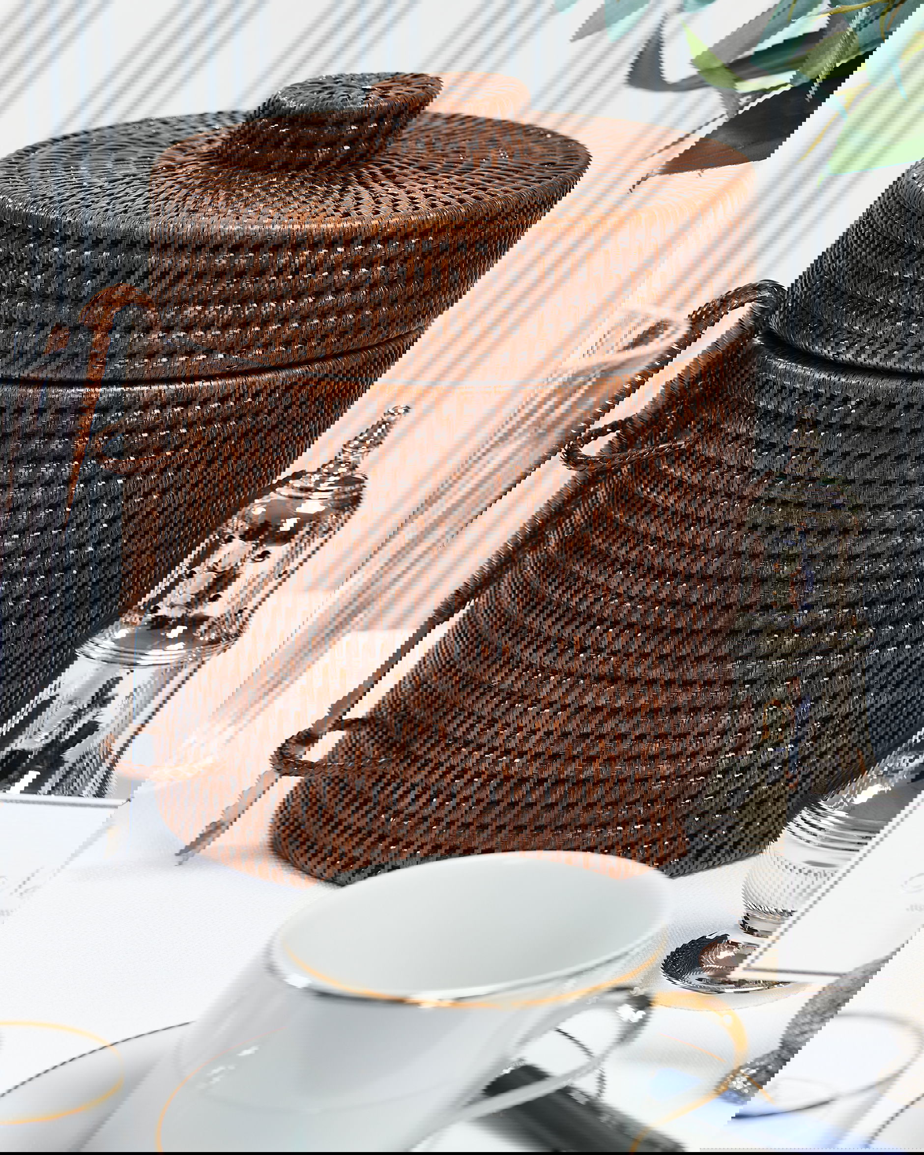 Cognac ishink rotting