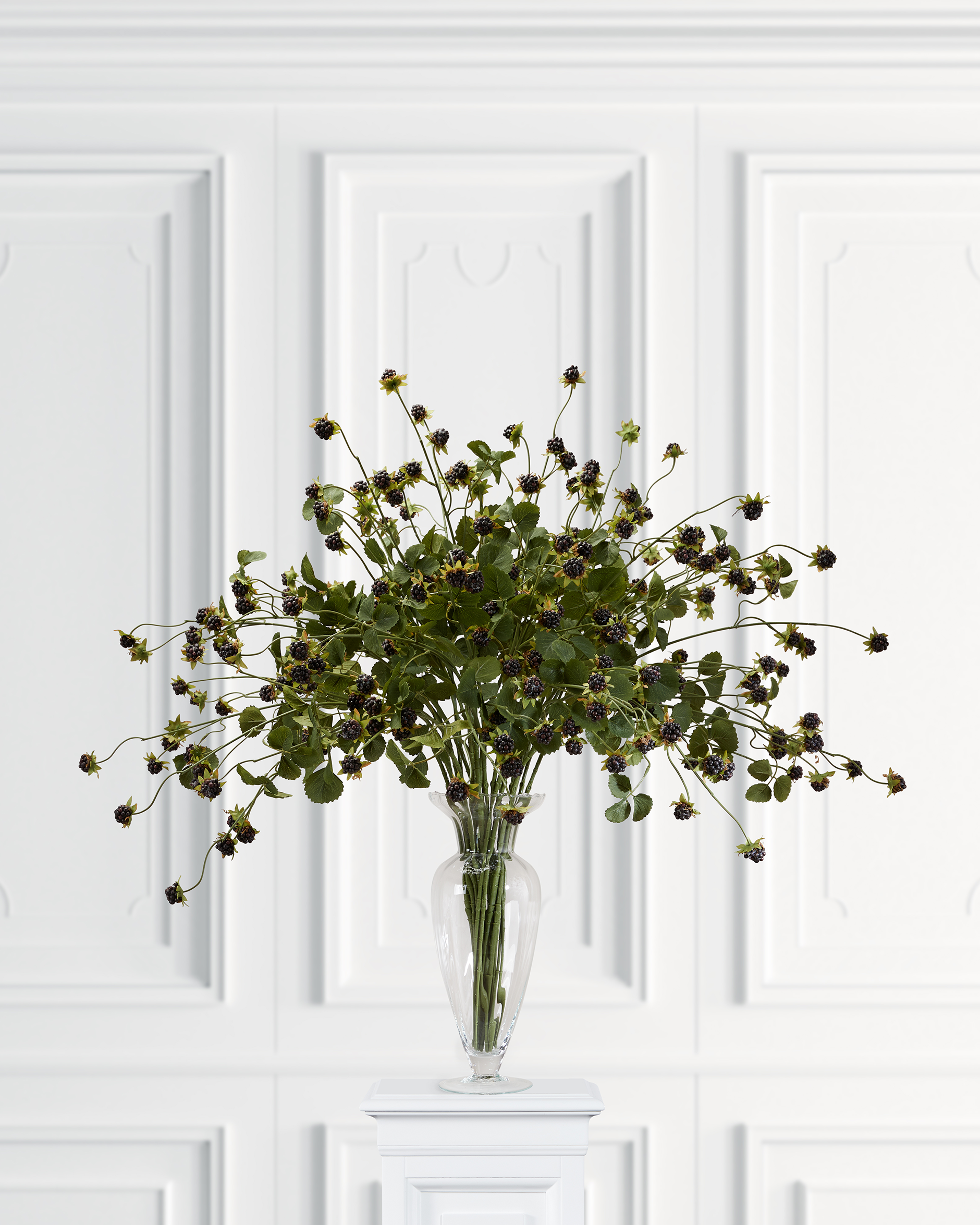 Black blackberry branch cut flower