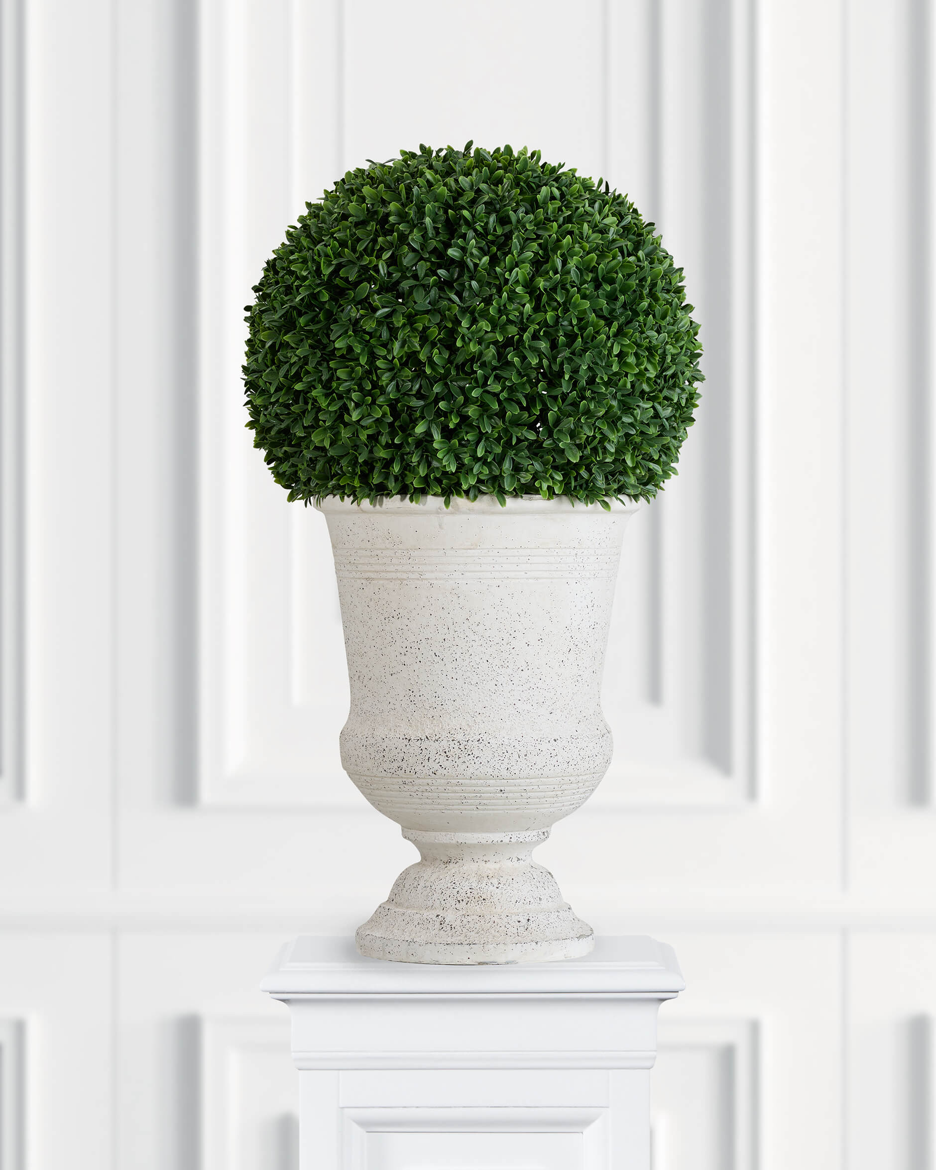 Buxbom konstväxt grön