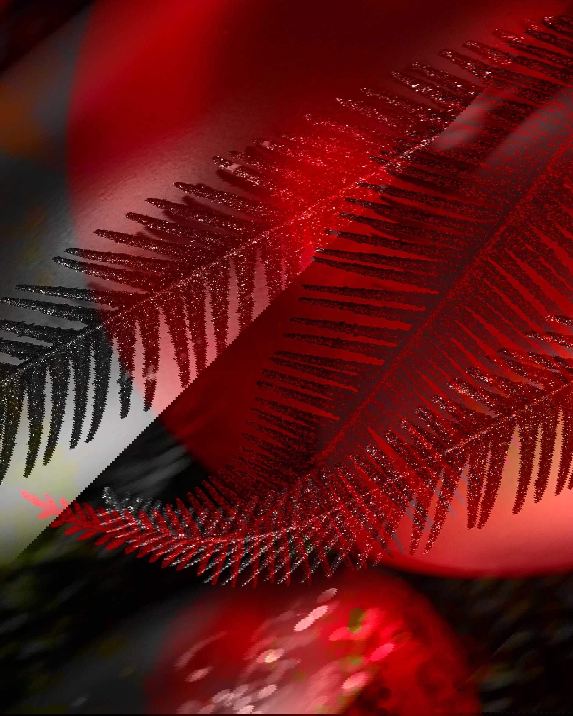 Carrington fjäder julgransdekoration röd 8-pack