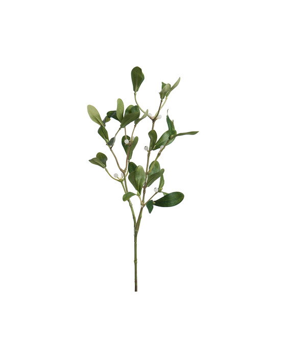 Mistel-leikkokukka vihreä