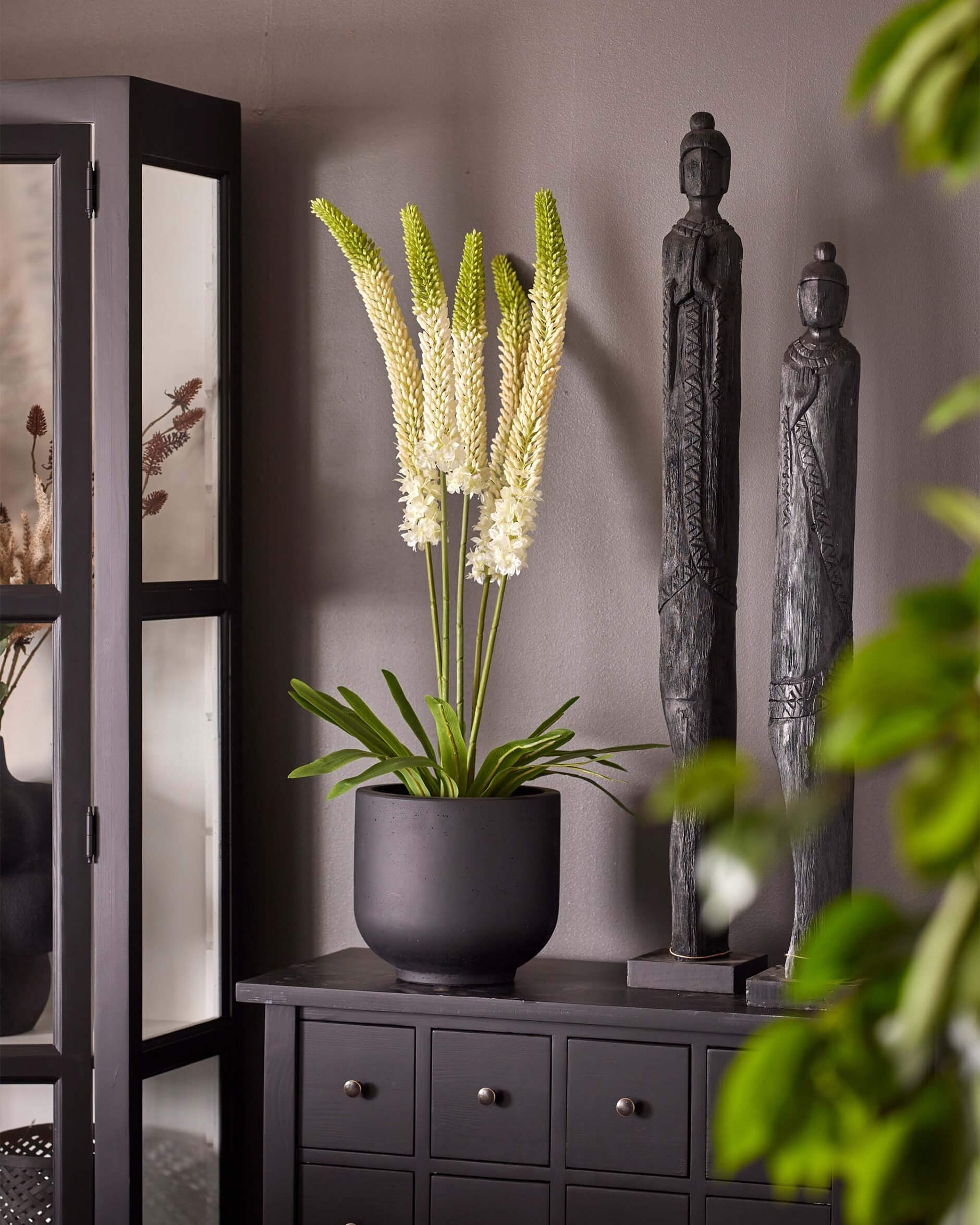 Stäpplilja krukväxt vit