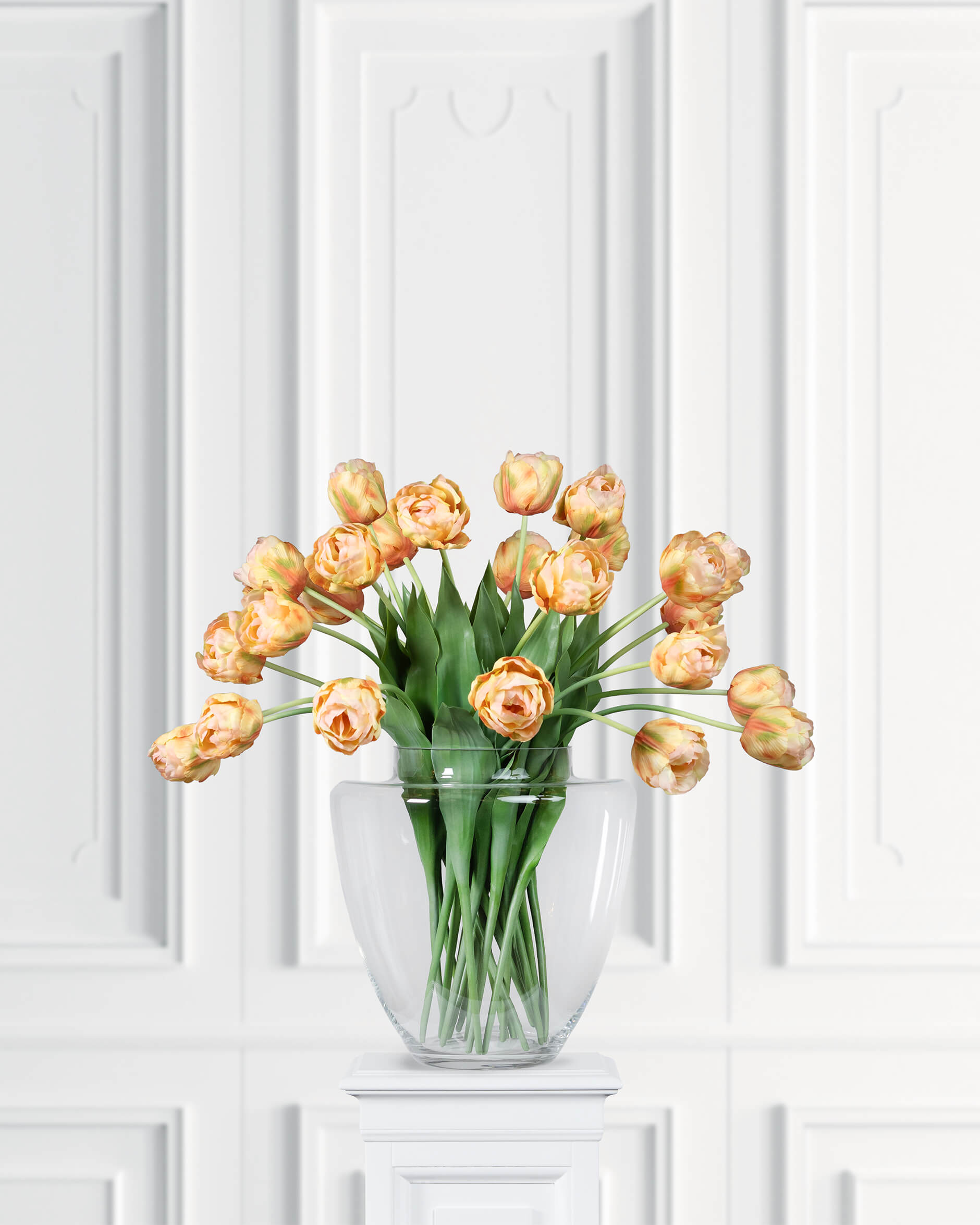 Tulpan snittblomma persika