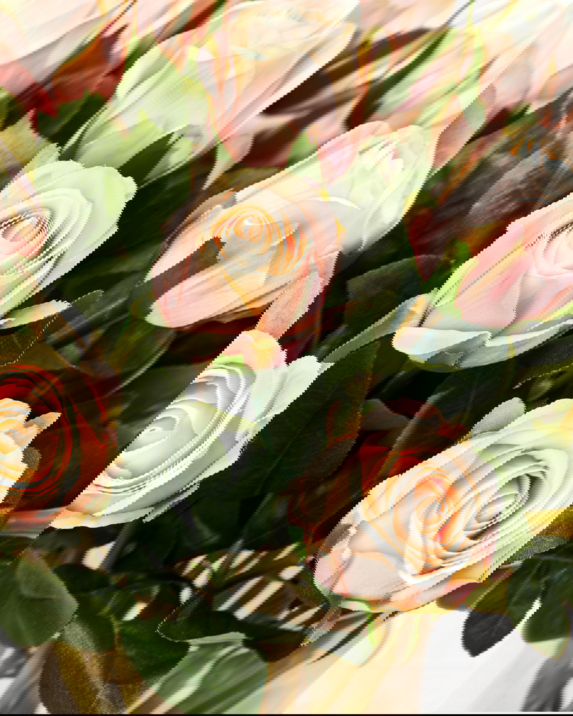 Ros snittblomma ljusrosa