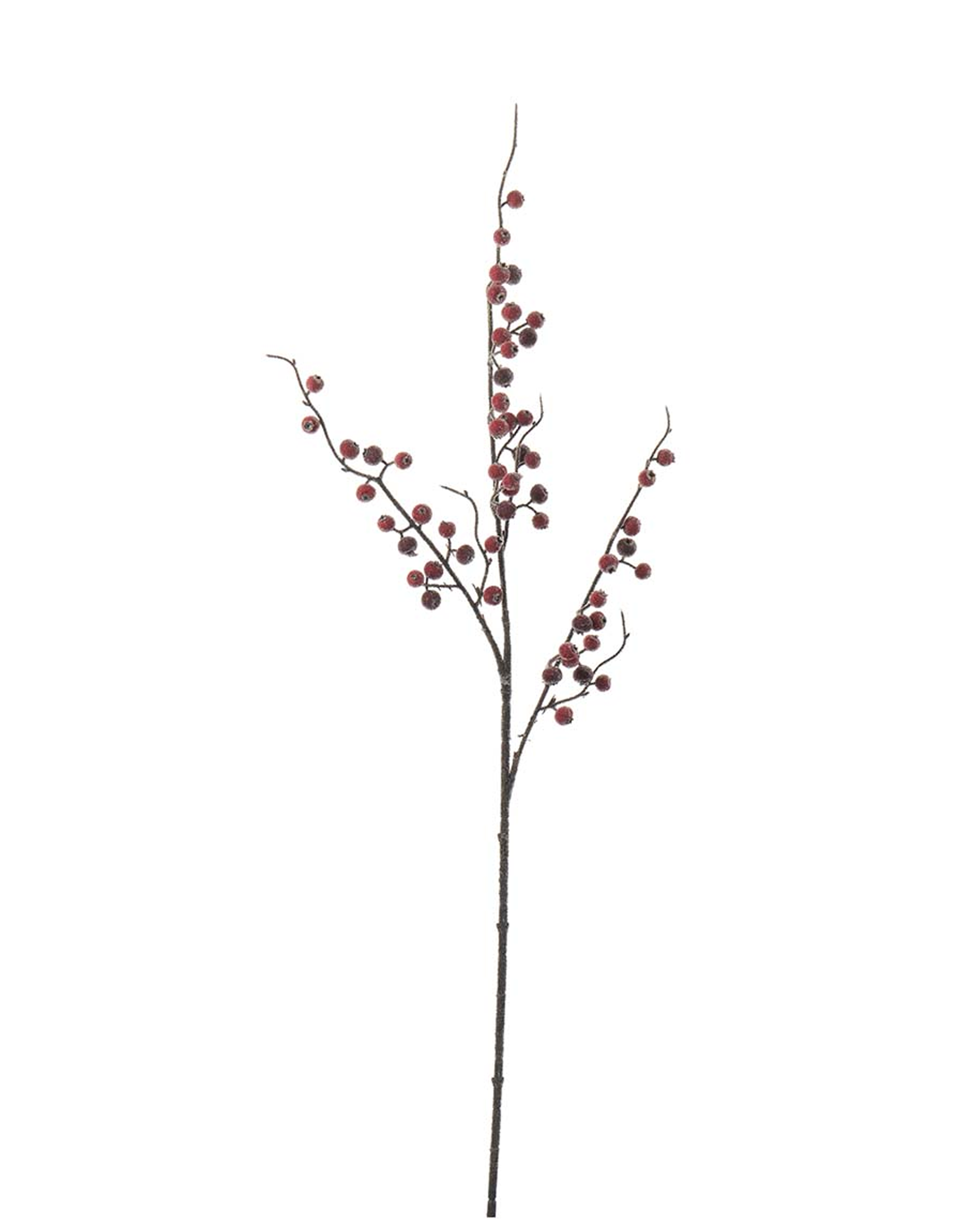 Beerenzweig mit eisähnlicher Schnittblume, weiß