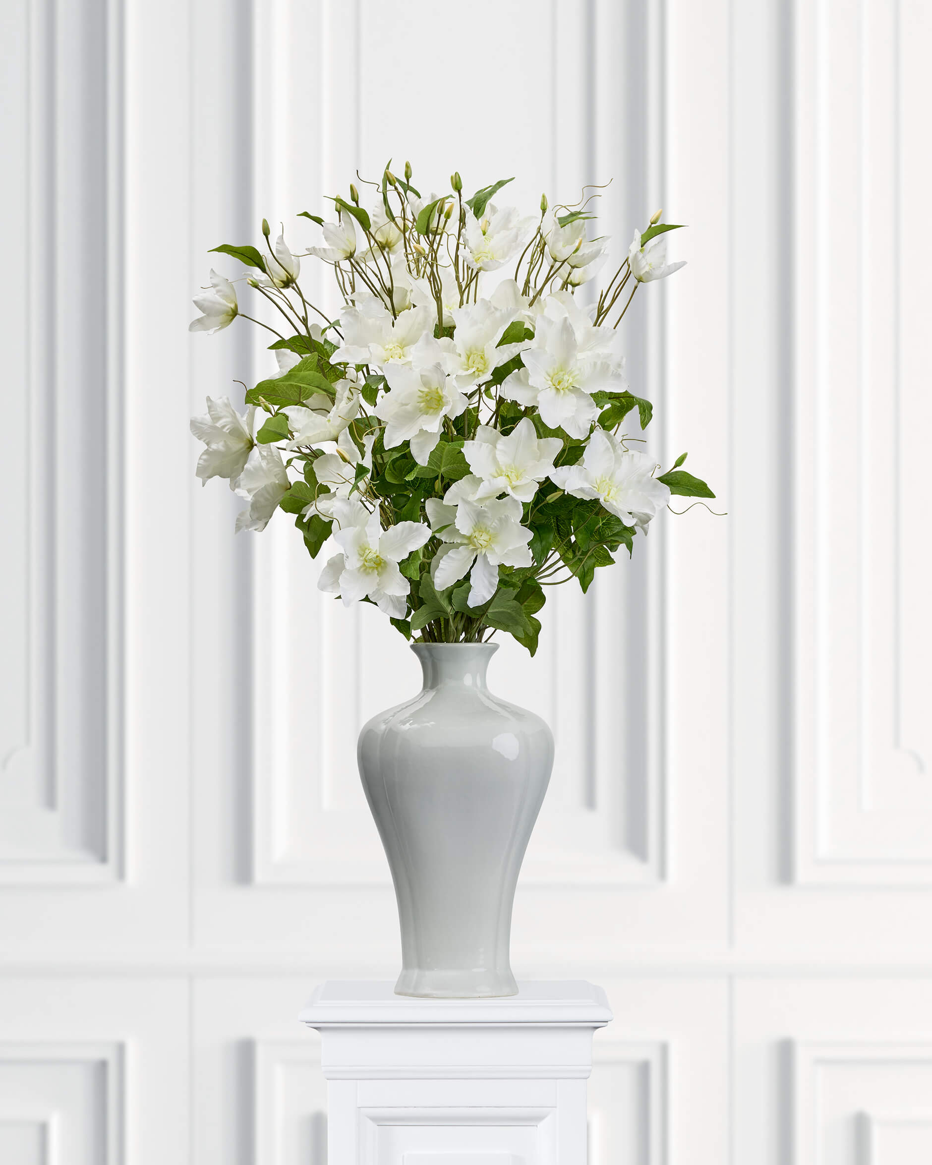 Clematis Cut Flower White