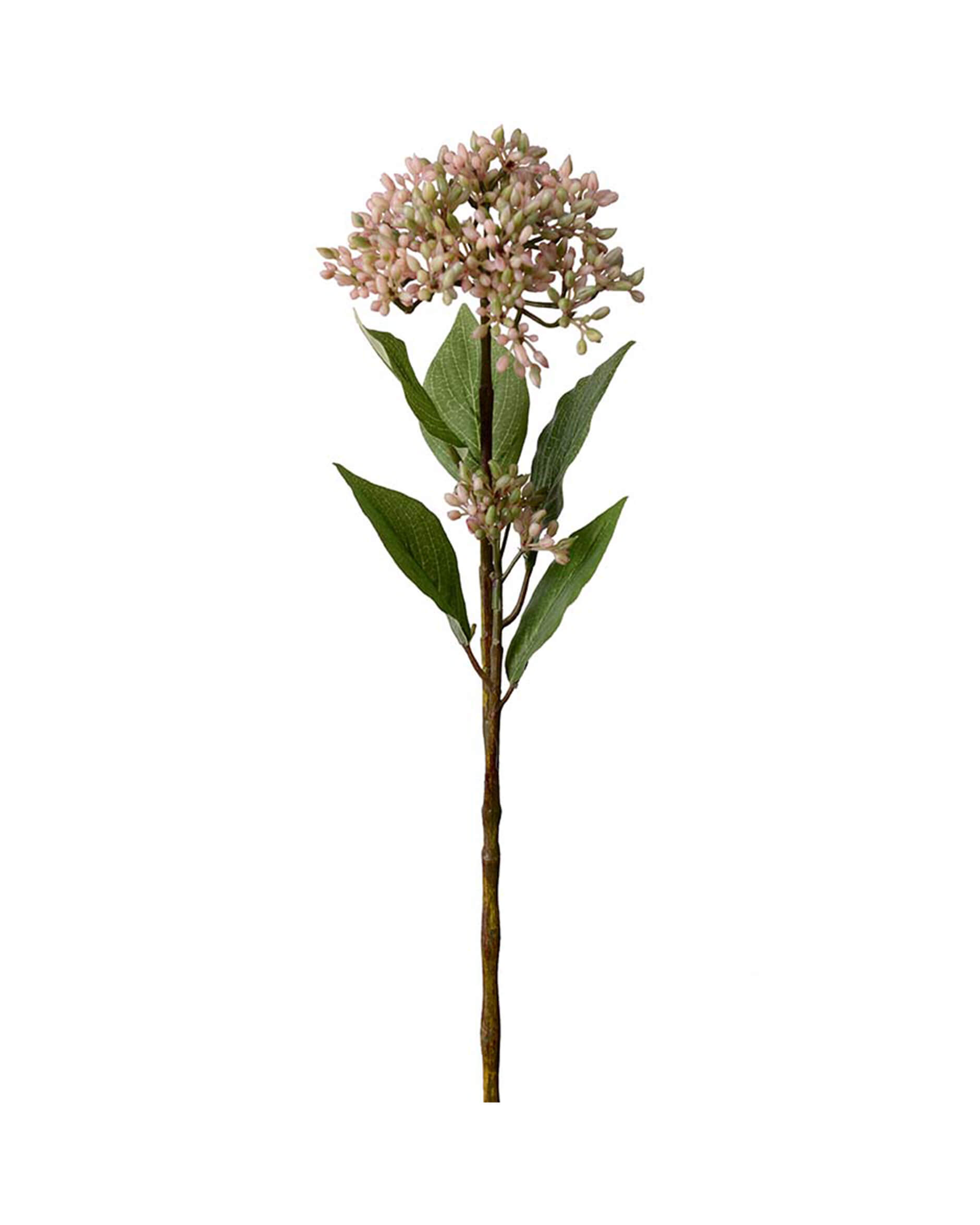 Berry Branch Cut Flower Dark Pink