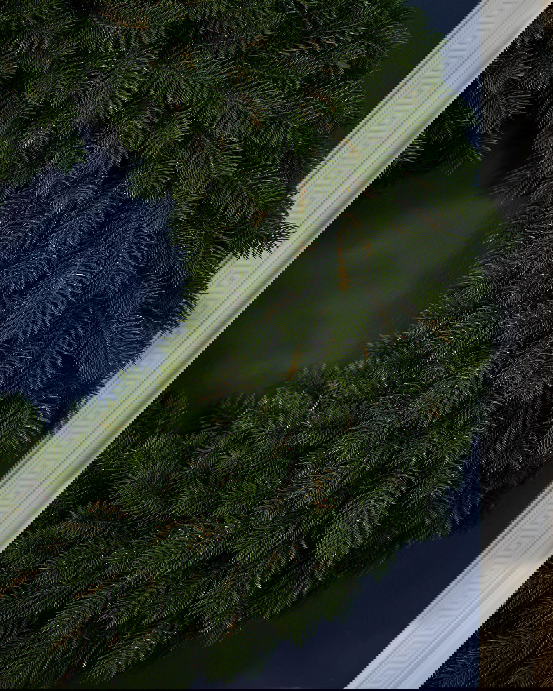 Albert grankrans Ø80cm