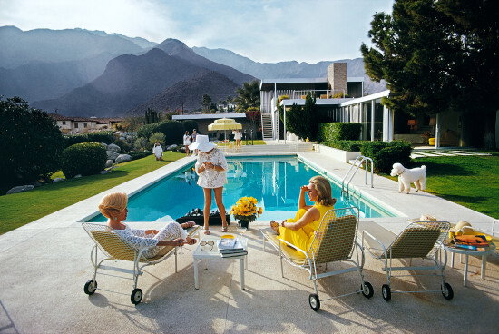 Poolside Poodle