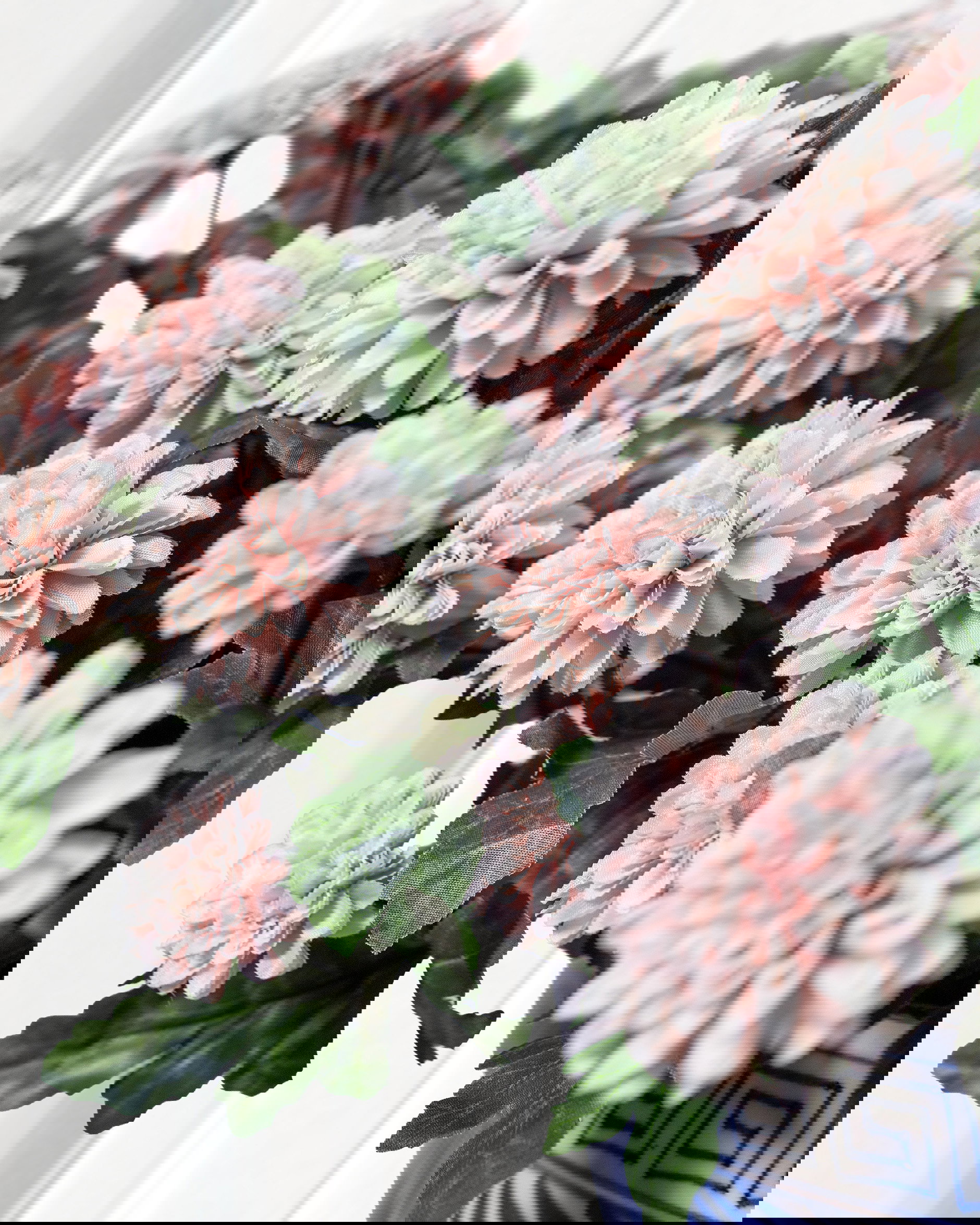 Krysantemum krukväxt rosa