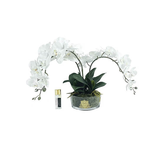 Orchidée Classique Gift Set