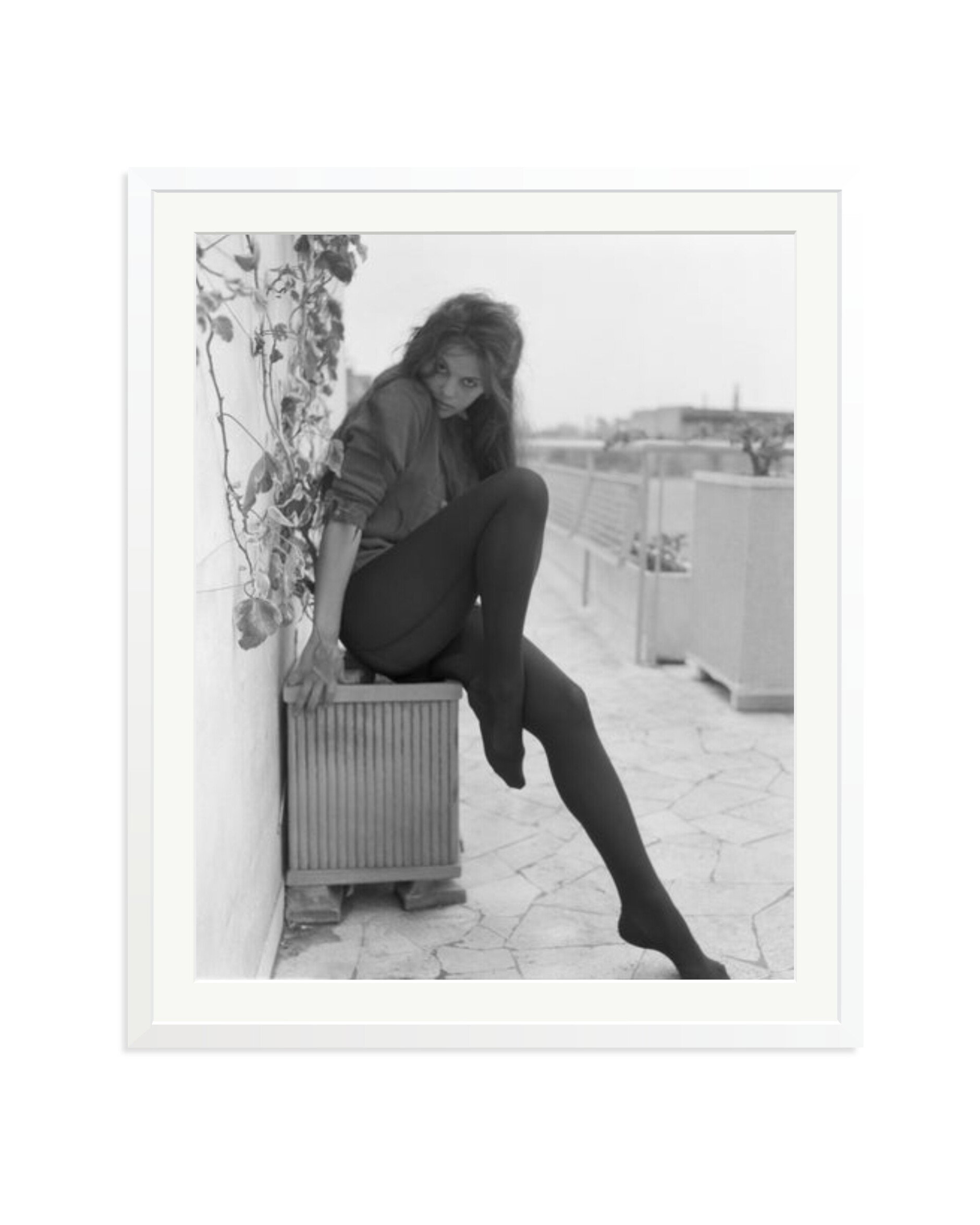 Cardinale Posing in Rome White / XXL