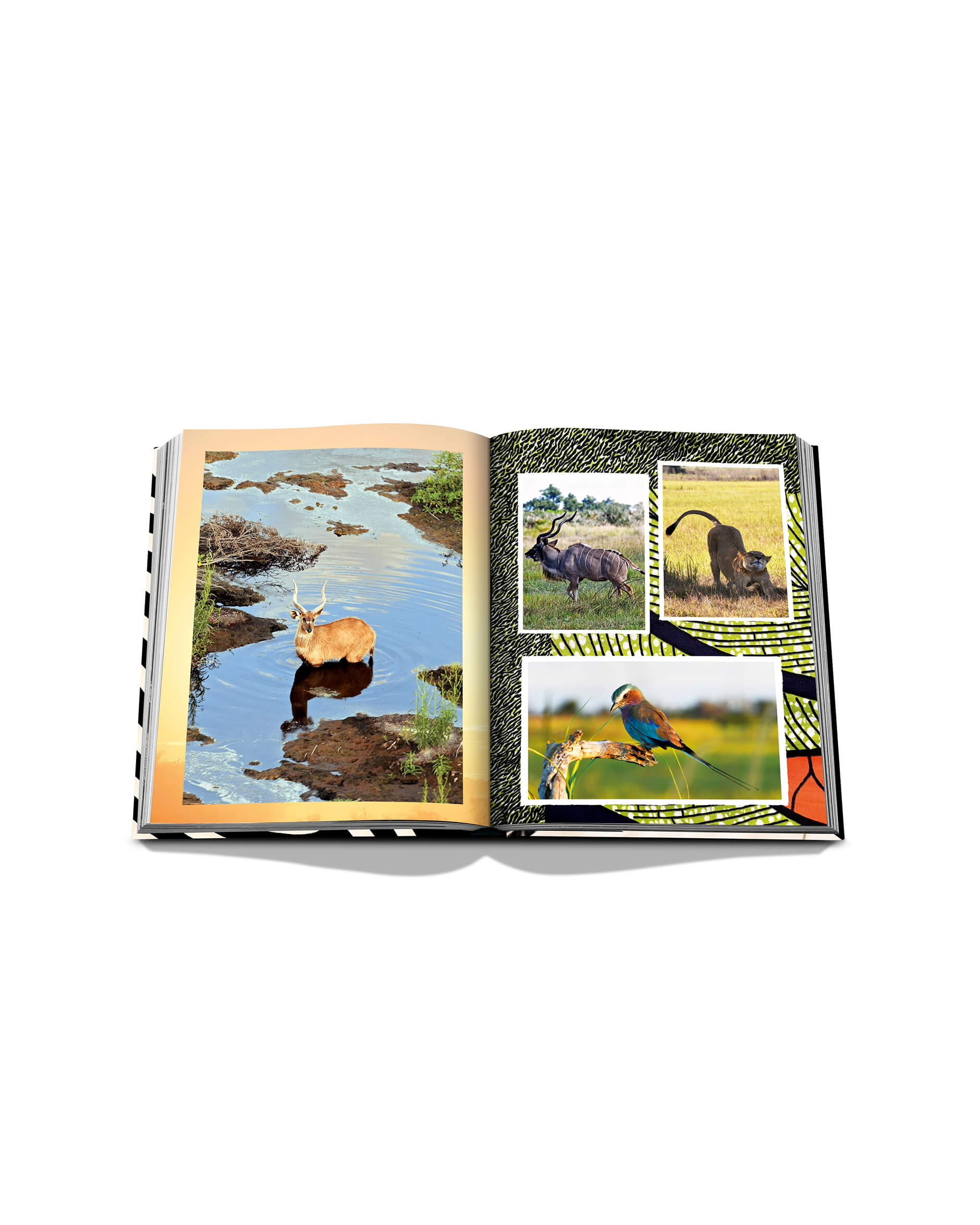 African Adventures - The Greatest Safari on Earth