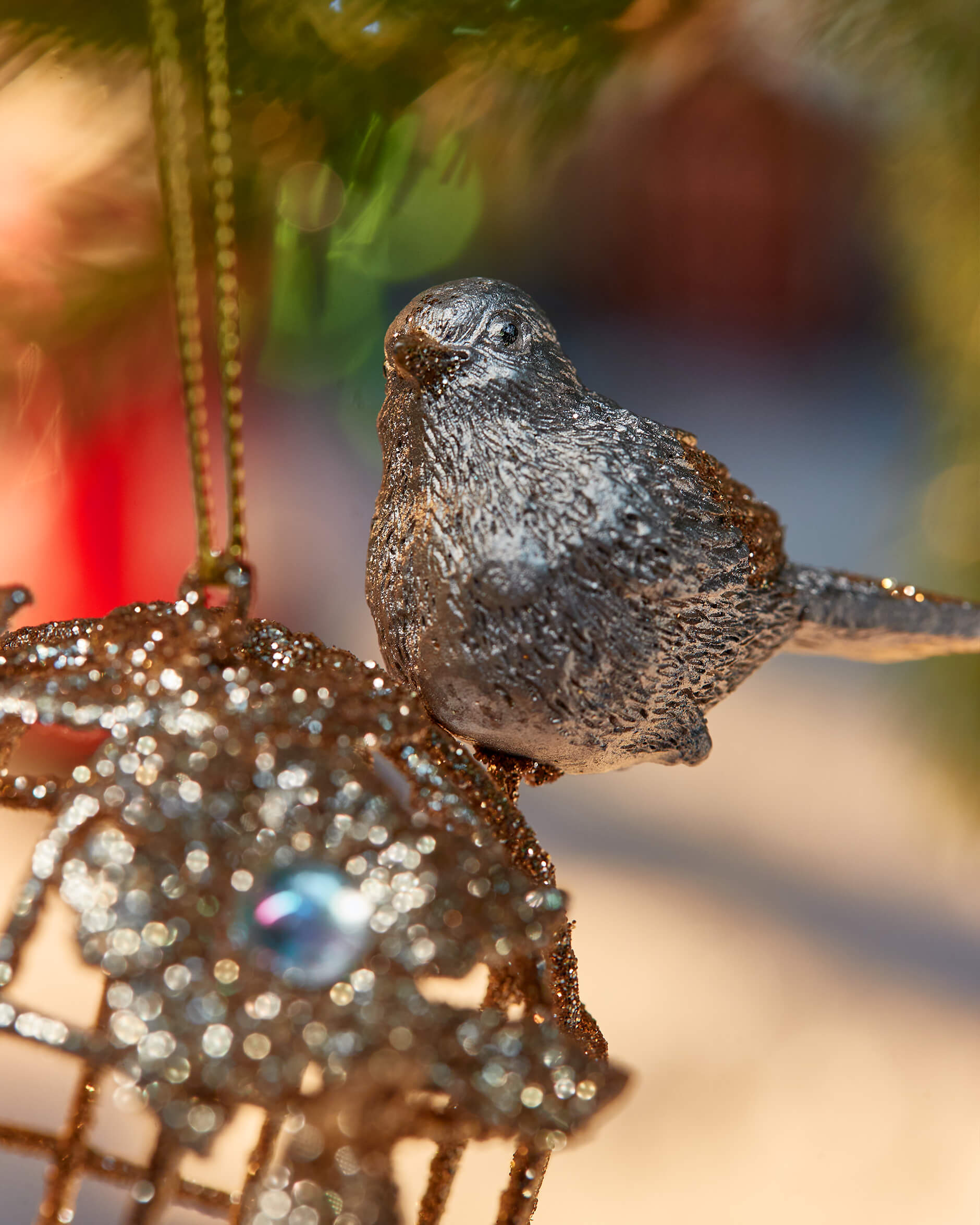 Hawksworth-kuusenkoriste, lintuhäkki samppanja