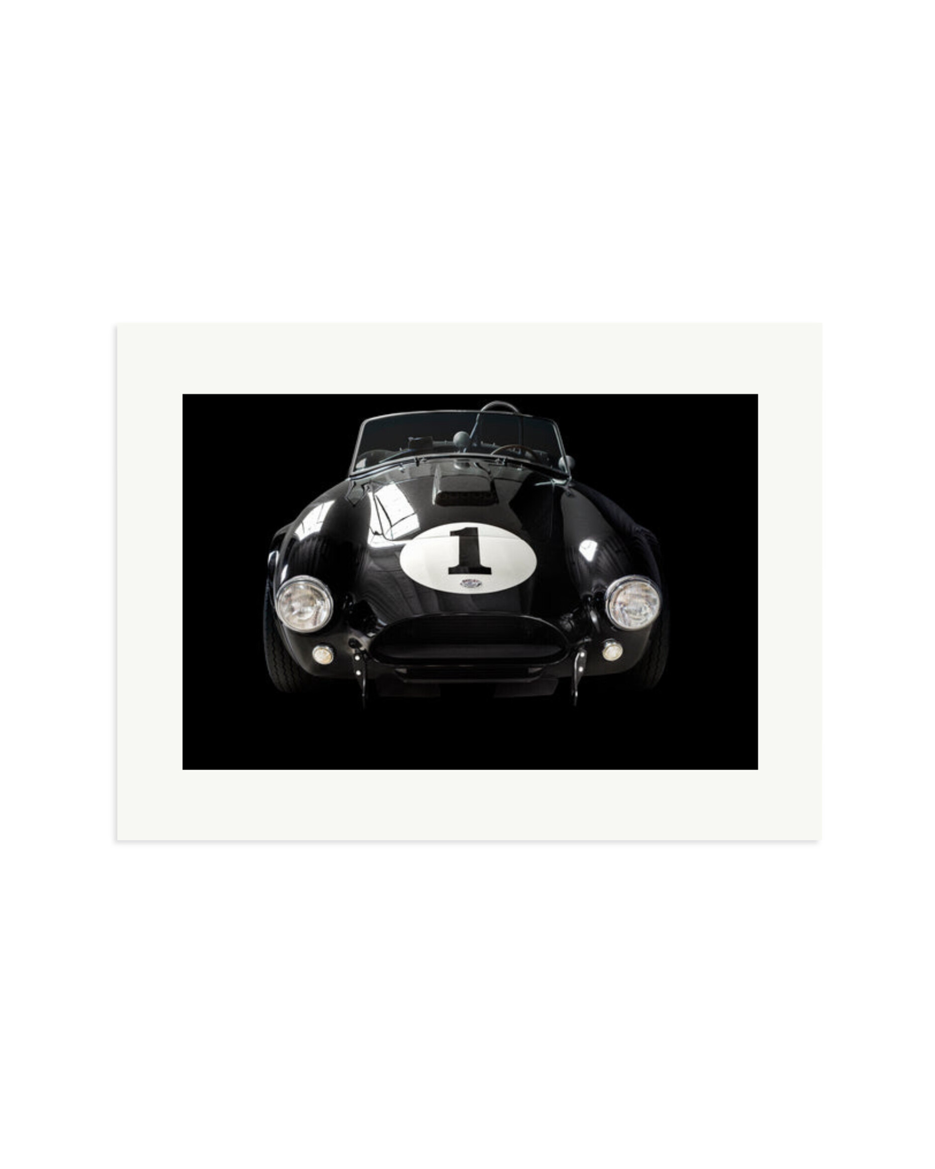 Shelby Cobra Print Only / XL