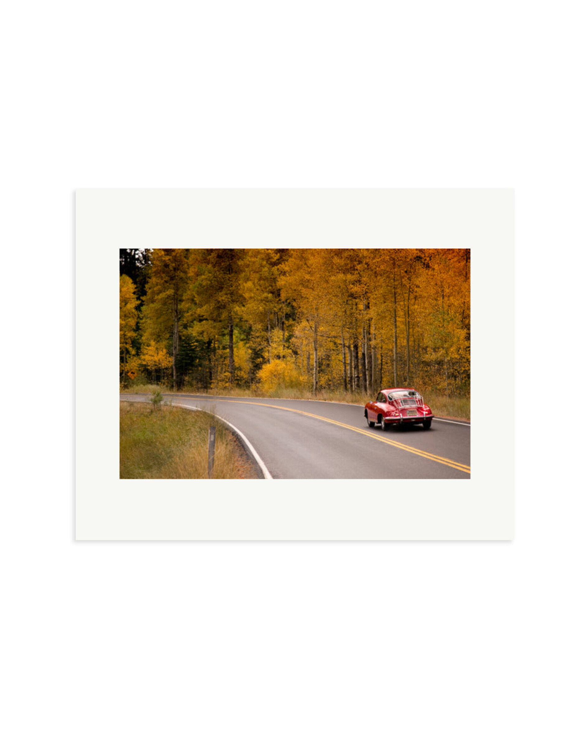 356 Porsche Print Only / Medium