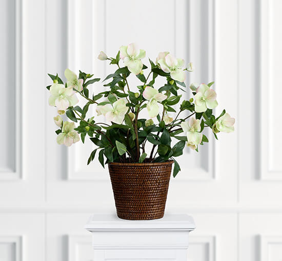 White - Christmas Rose Artificial Plant Pink