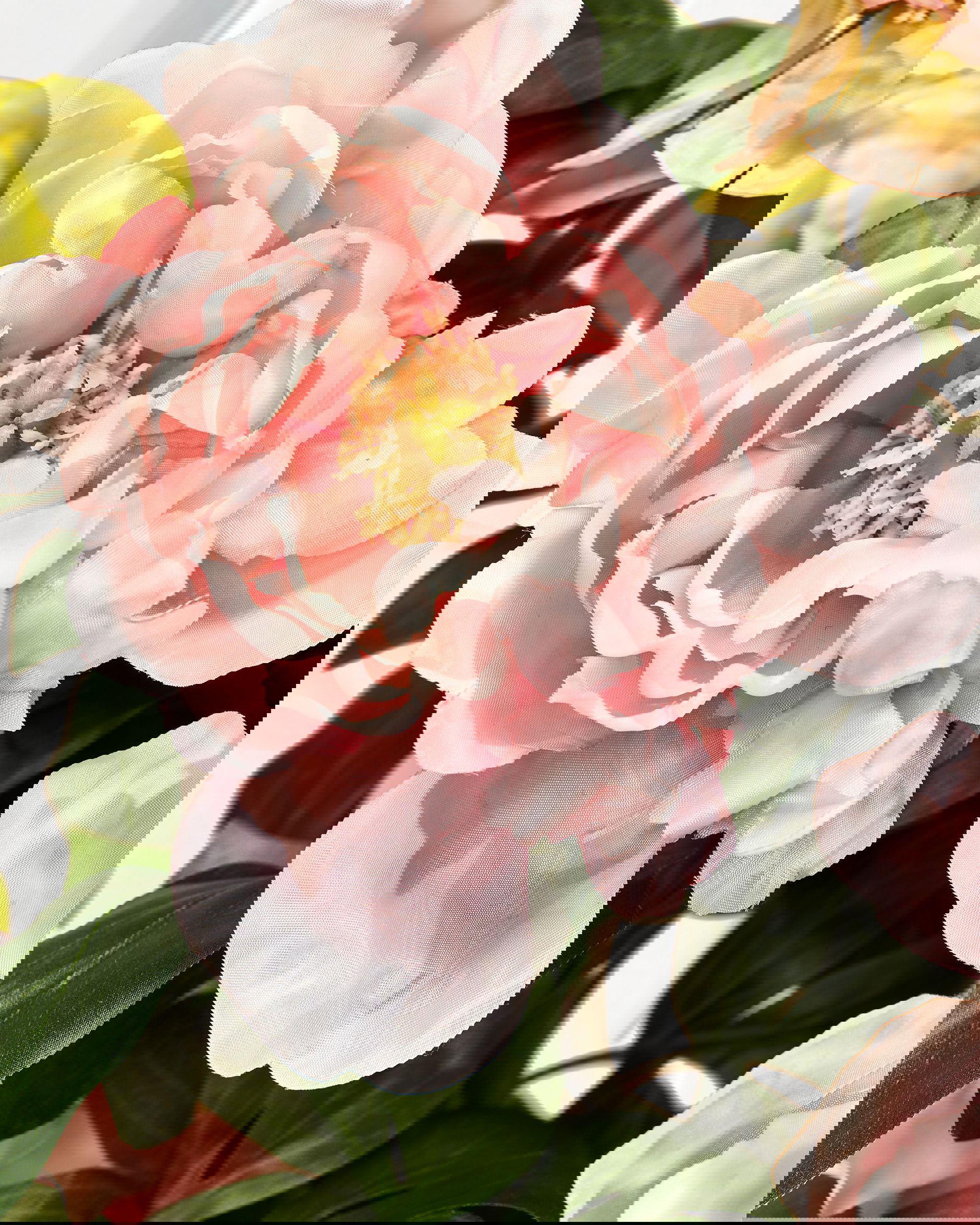 Pfingstrose Topfpflanze rosa