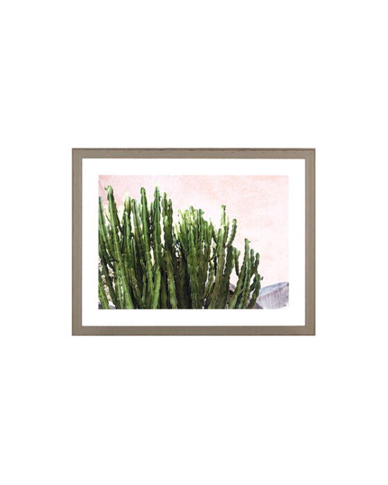 Cactus Tavla