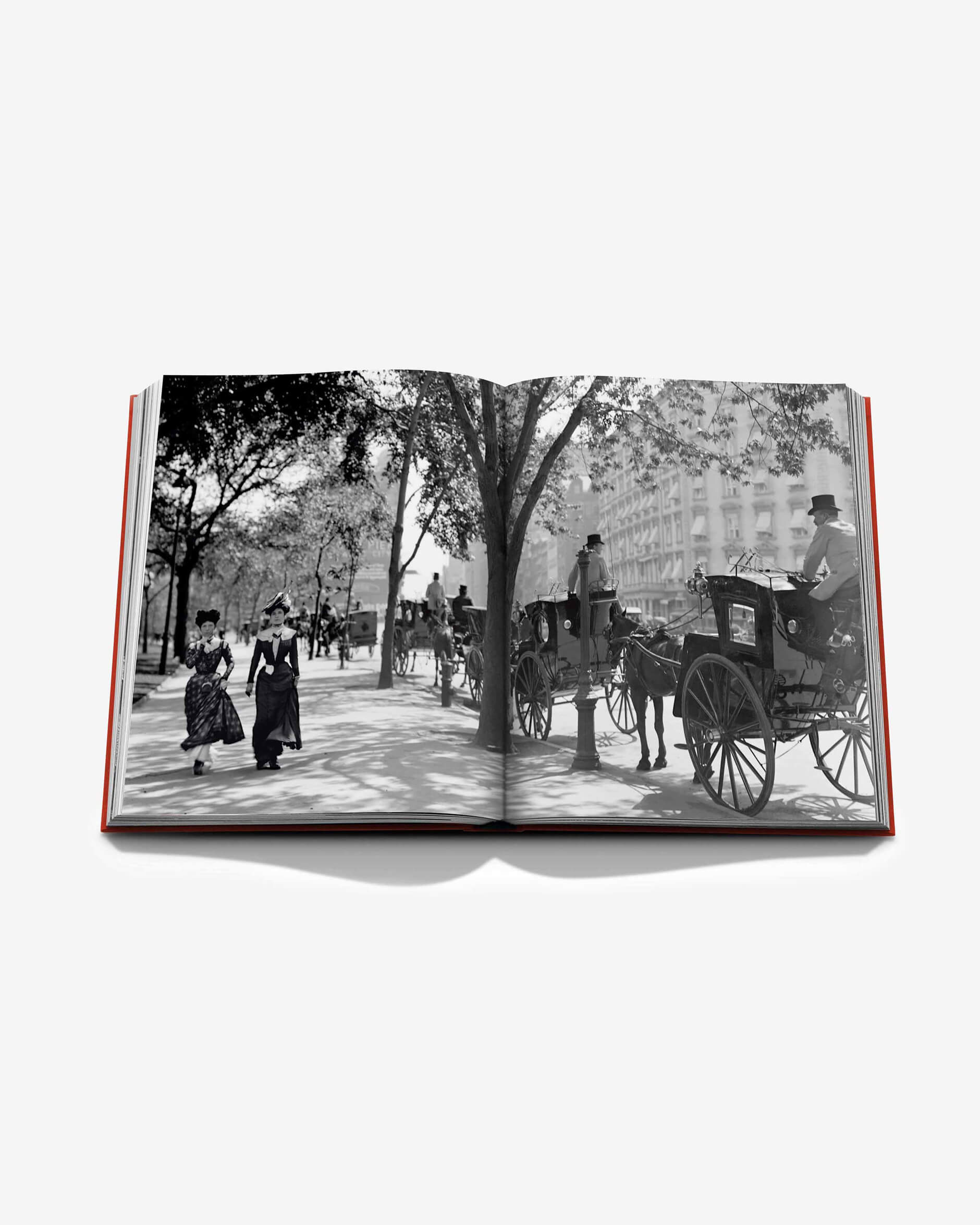 New York By New York