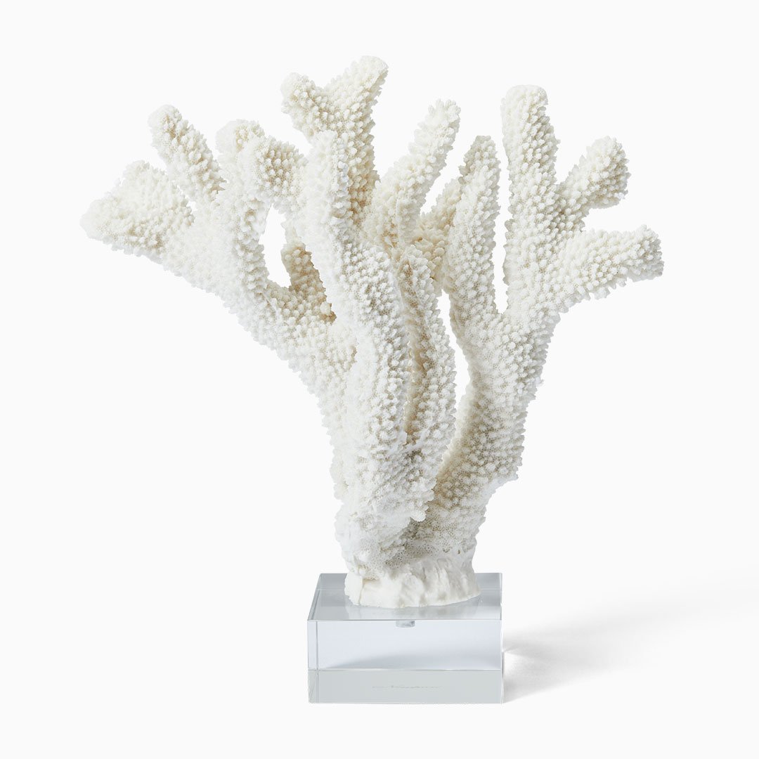Chloé korall vit