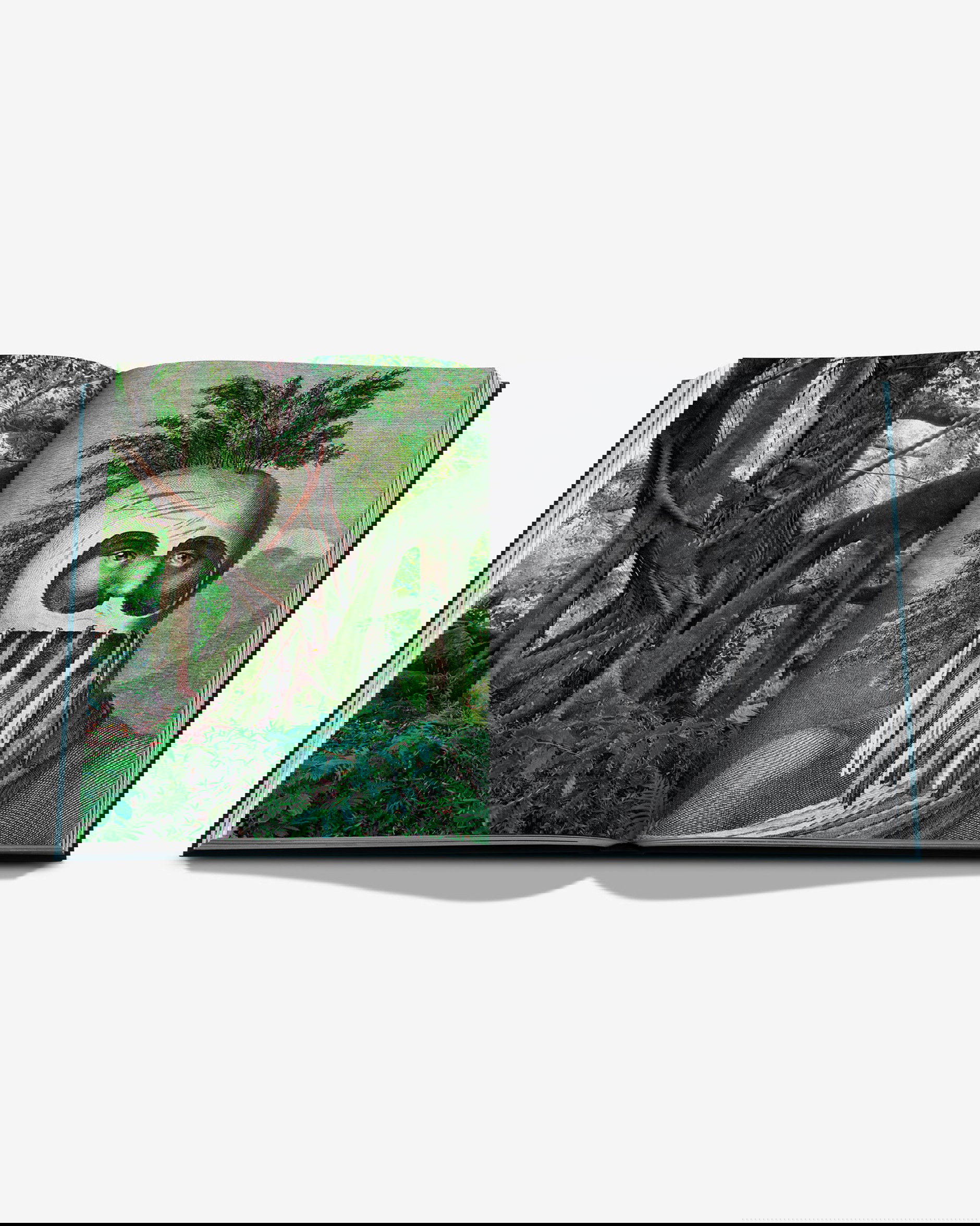 Travel Books Pacific Islands