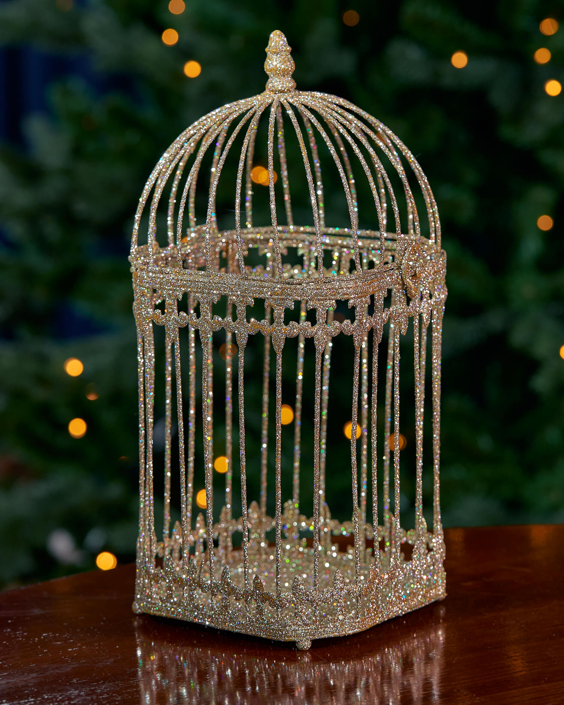 Loretta Birdcage Champagne