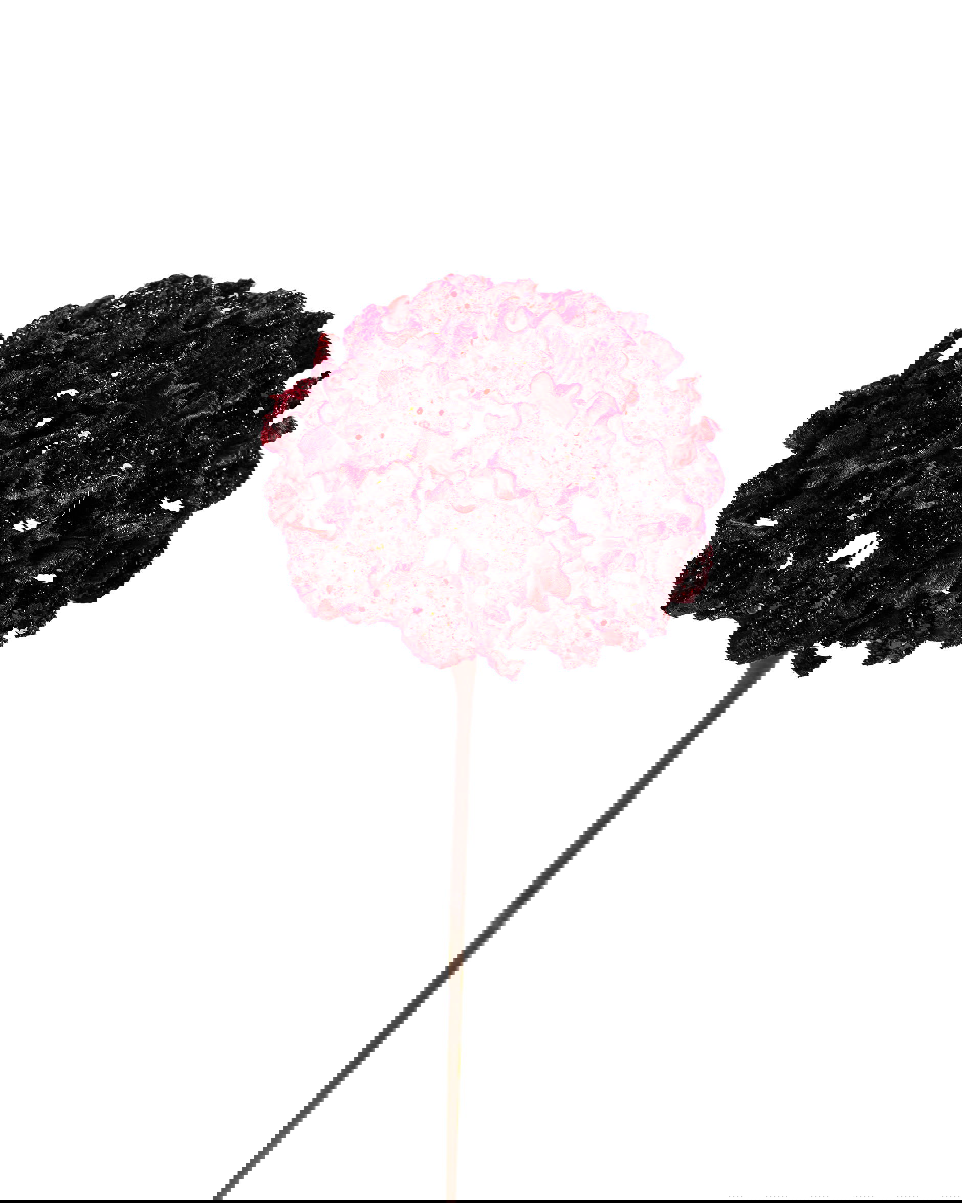 Hortensia decoratietak wijnrood