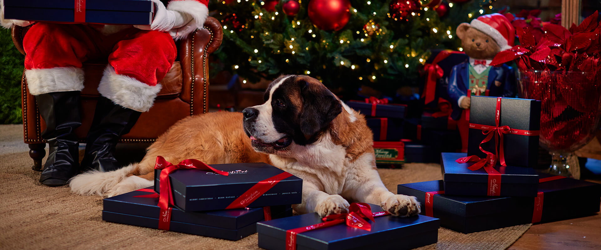 Christmas Gift Guide