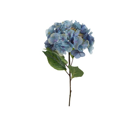 Blå - Hortensia snittblomma blå/grön