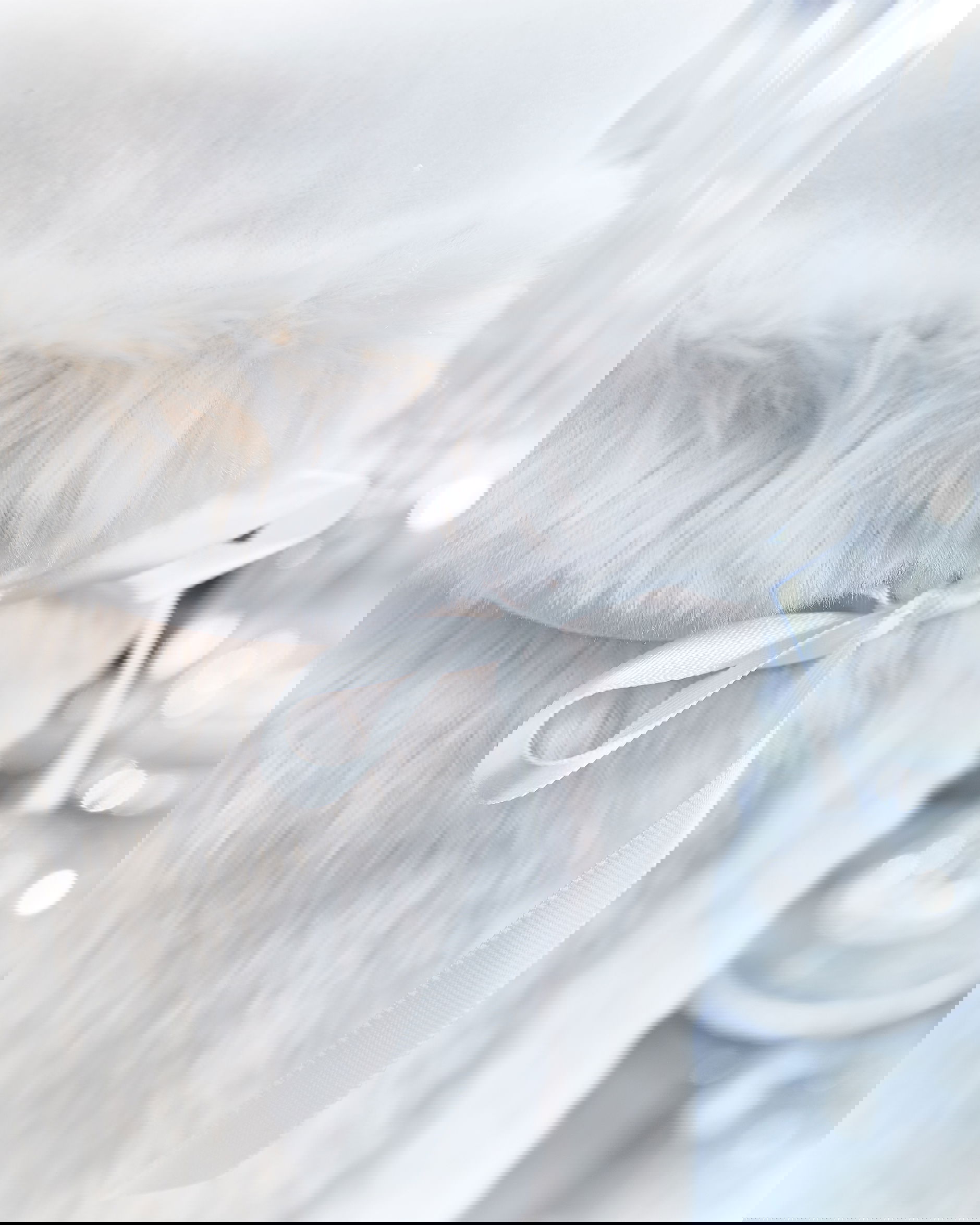 Whistler Wine Holder Polar Bear