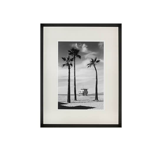Palmtrees