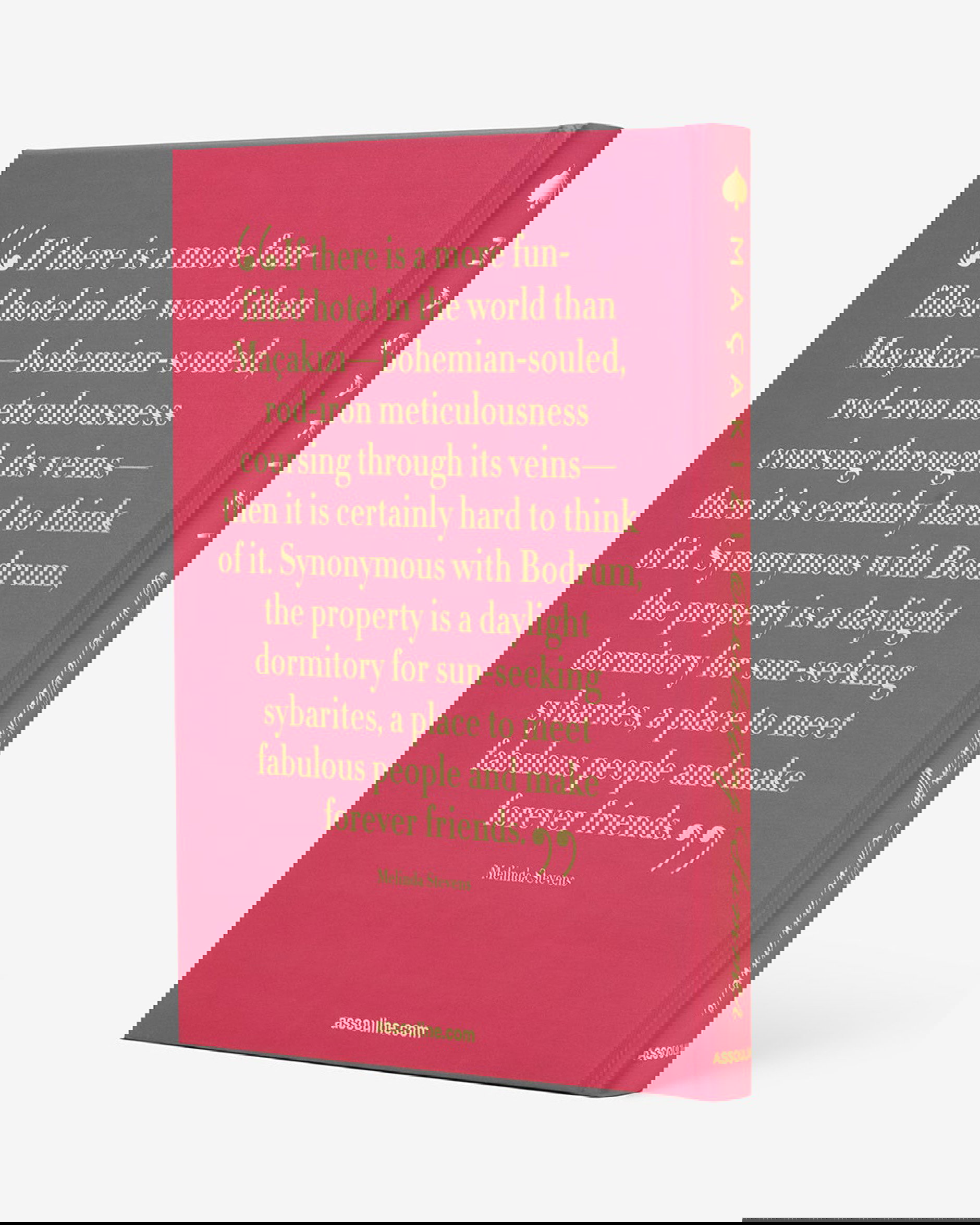 Maçakizi: Everlasting Summer