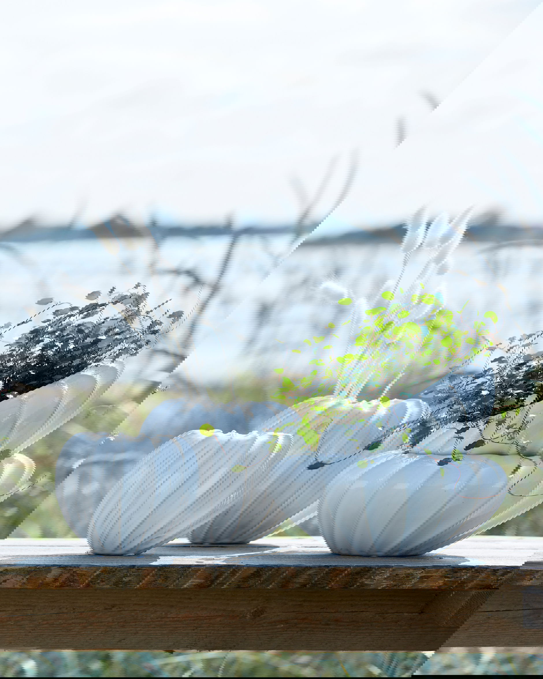 Edessa planteringskruka offwhite