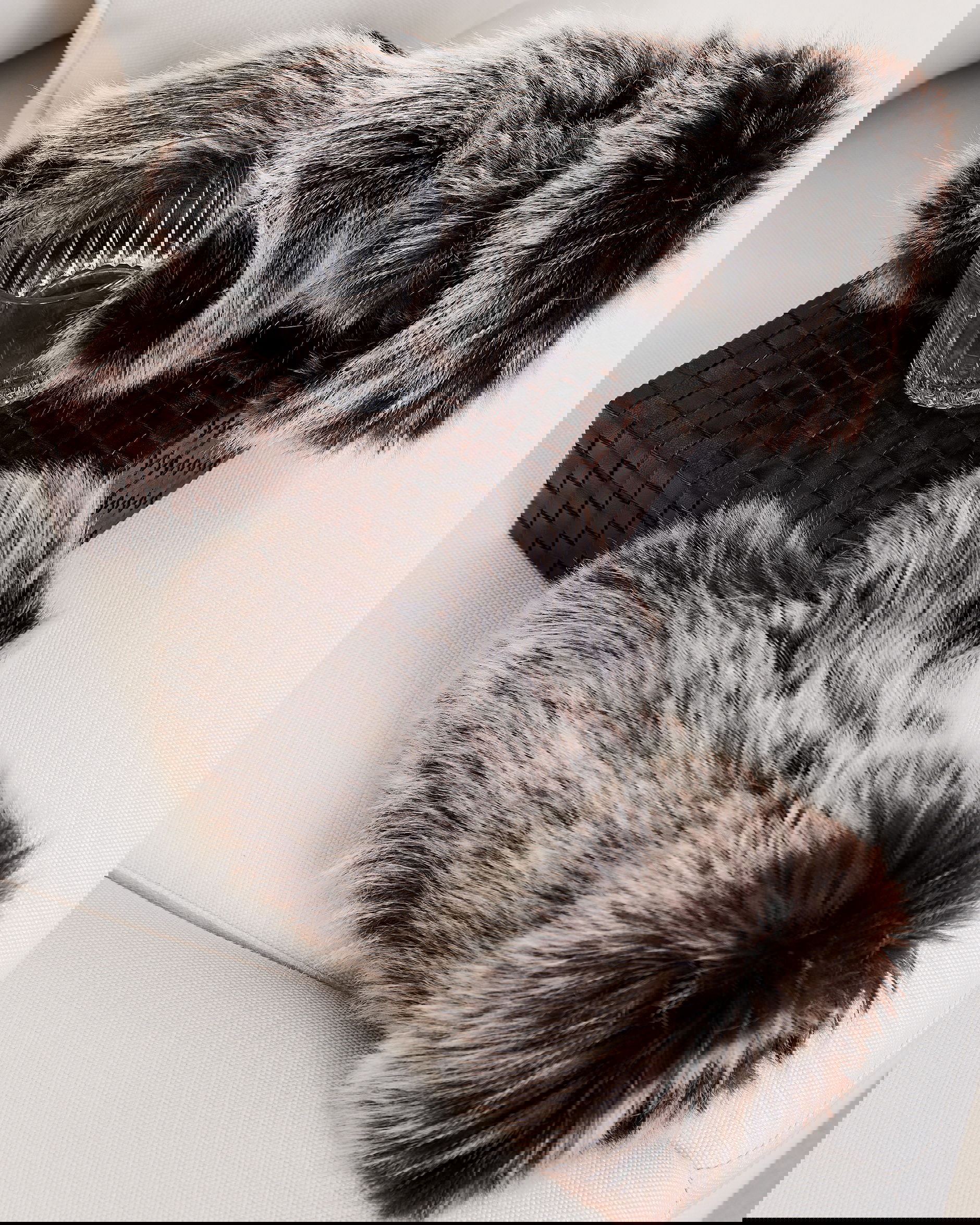 St. Moritz vantar timber wolf