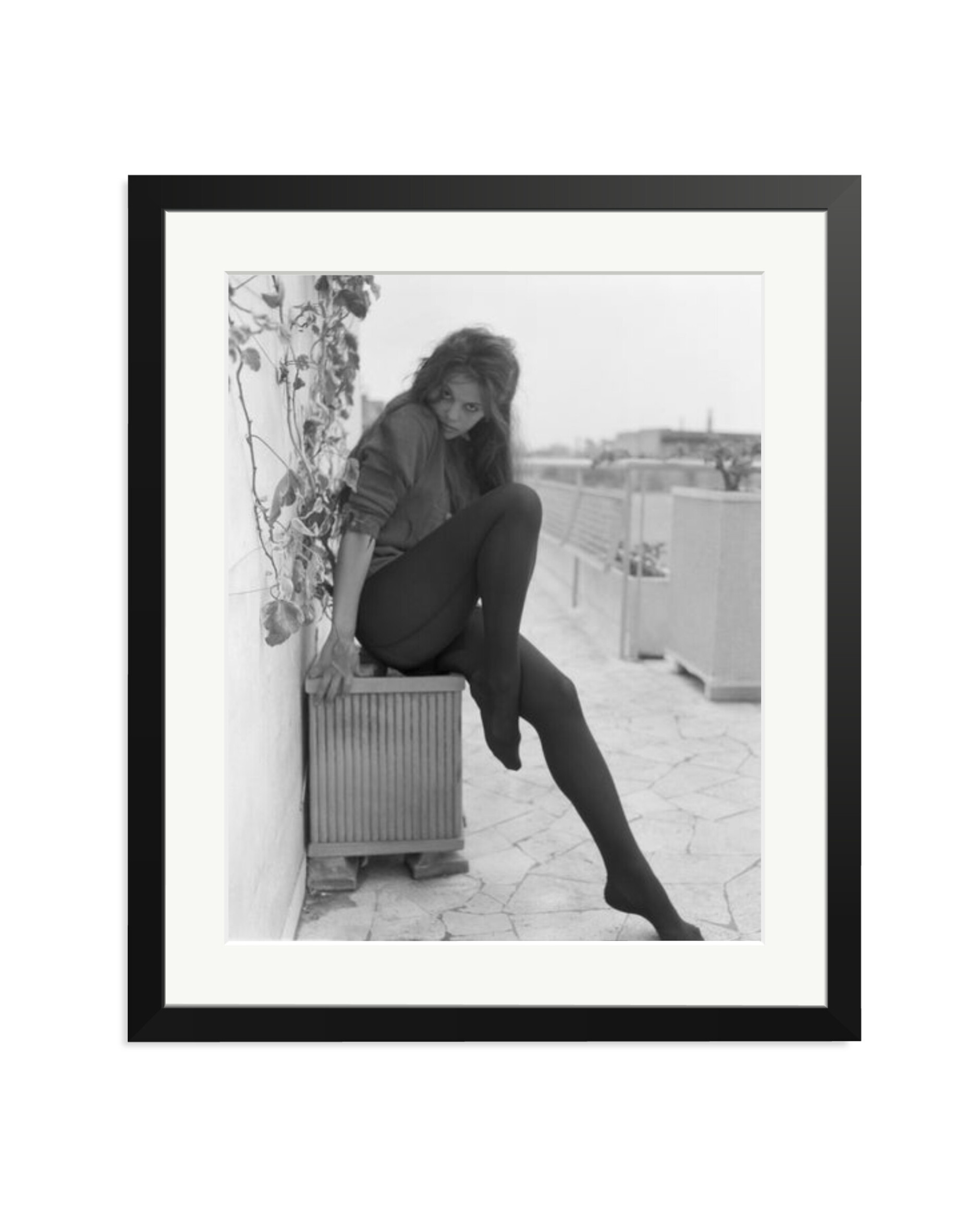 Cardinale Posing in Rome Black / Large